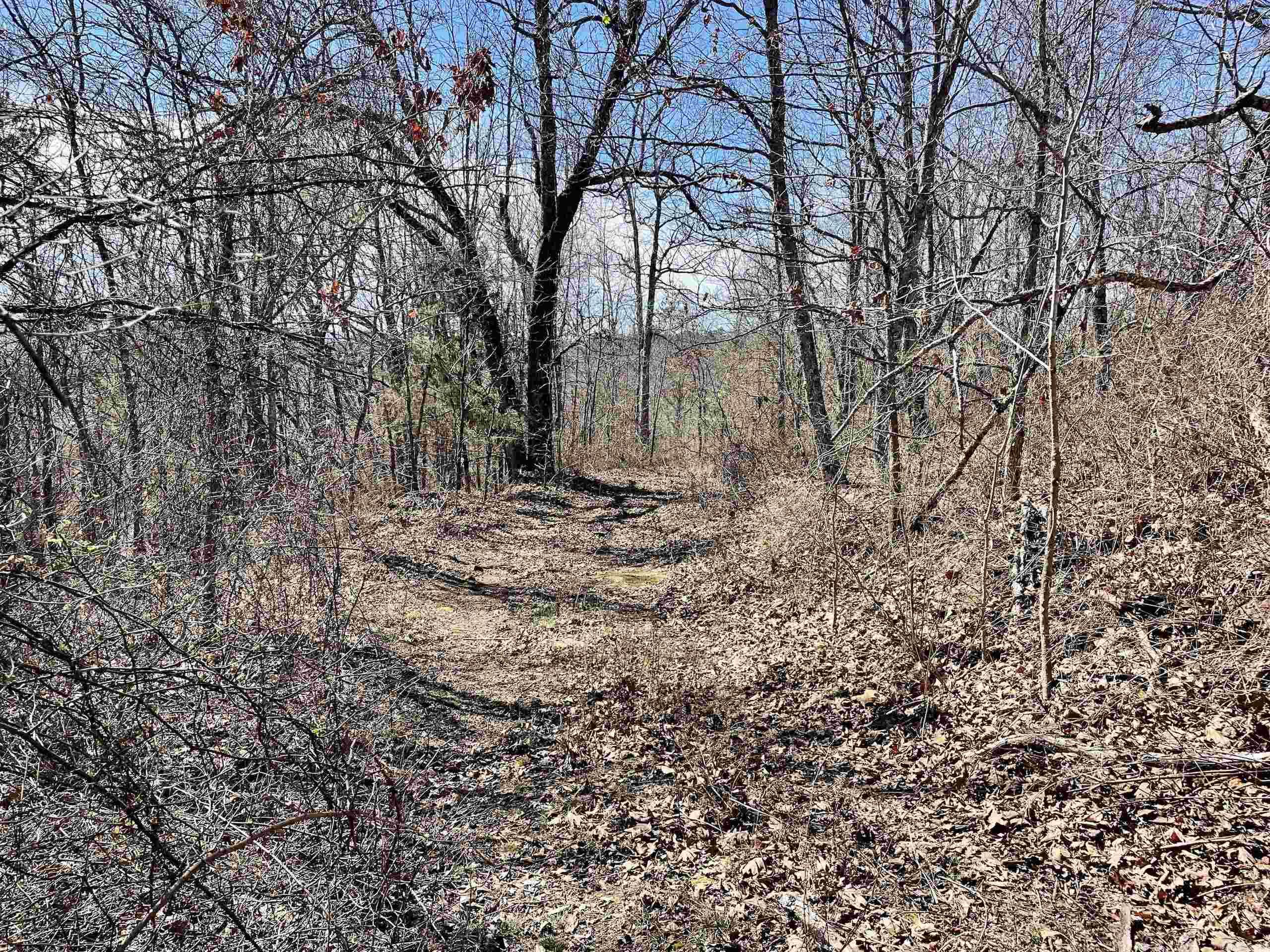 000 HWY 254  Dennard, AR