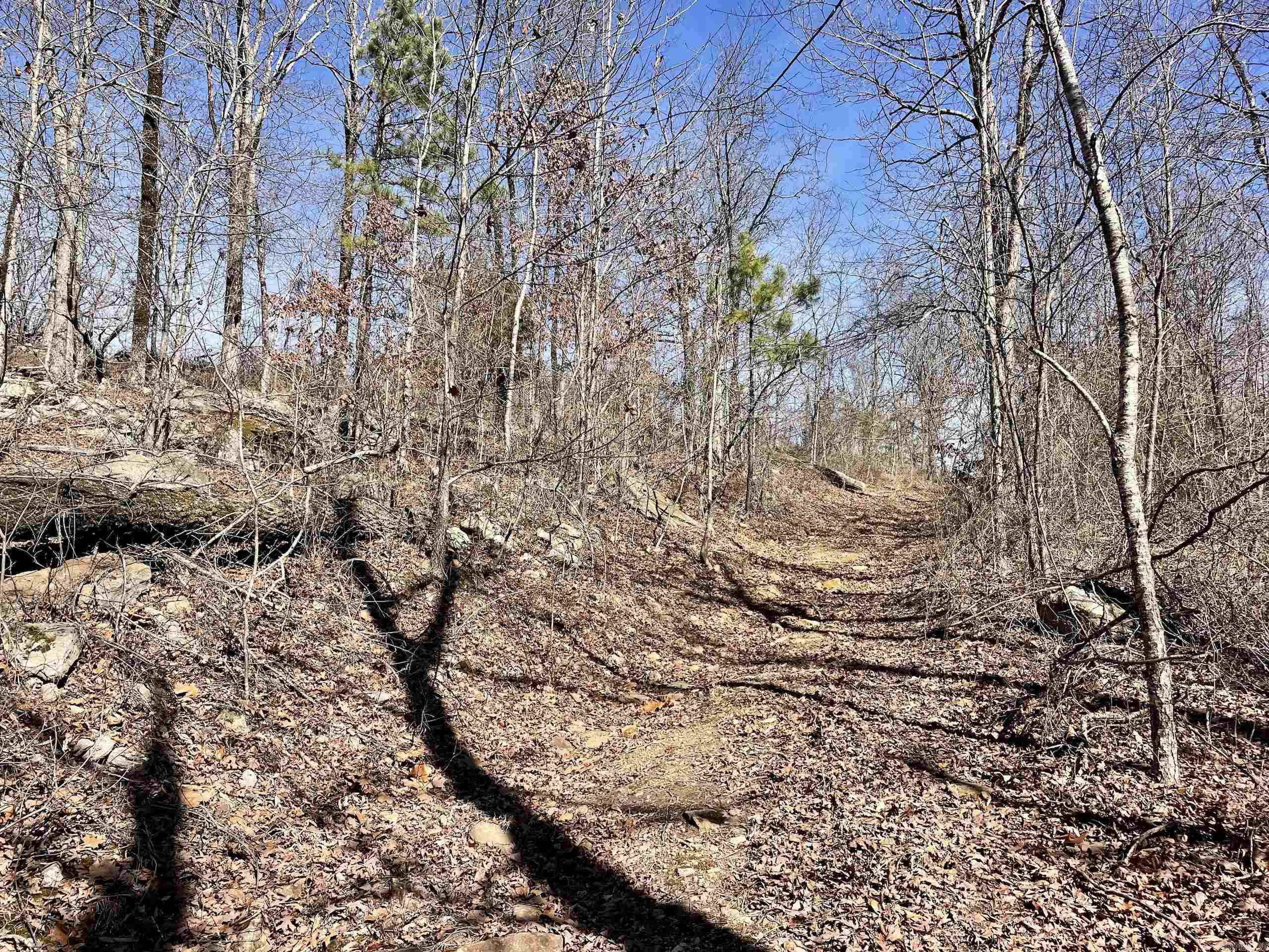 000 HWY 254  Dennard, AR