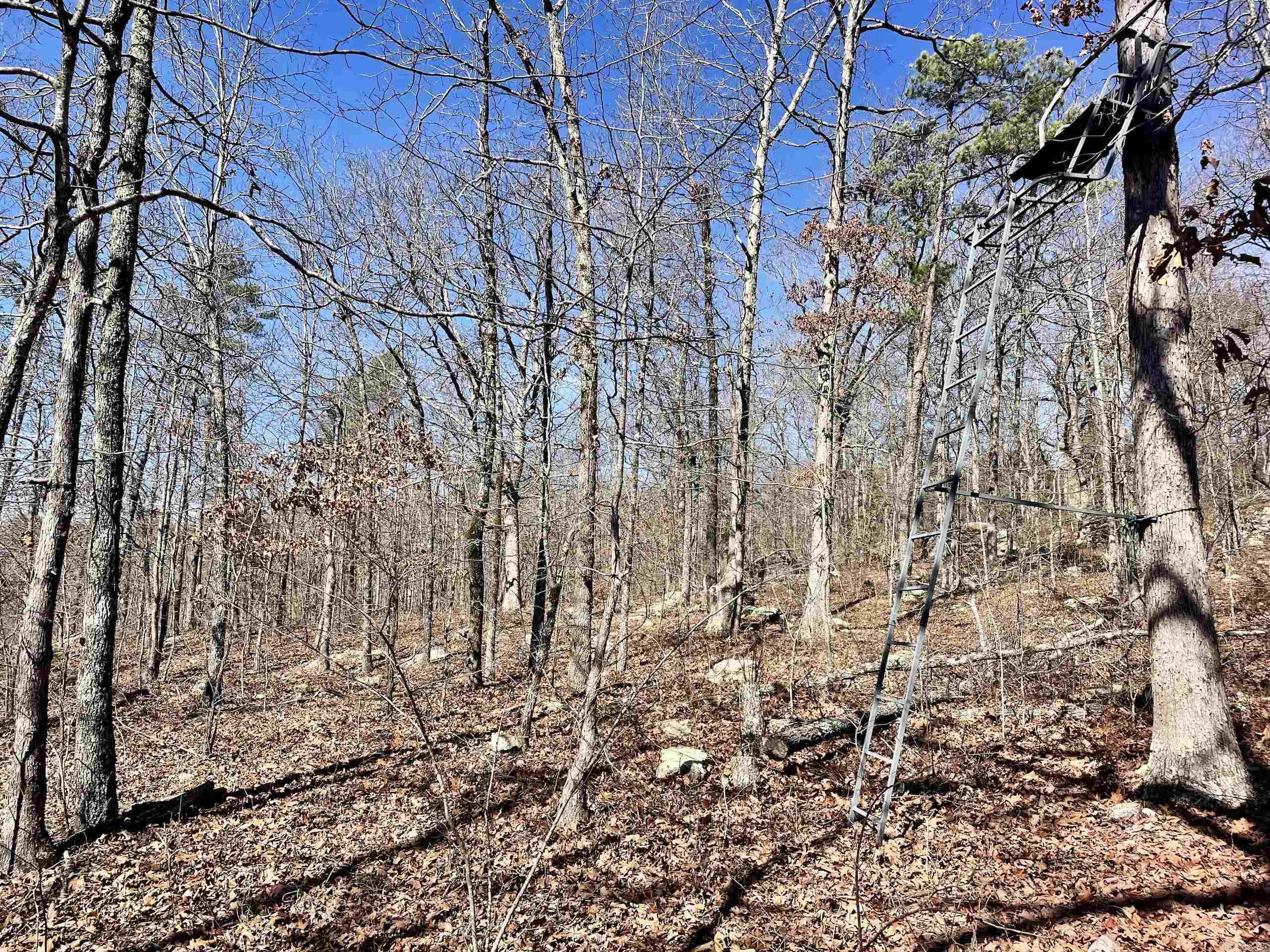 000 HWY 254  Dennard, AR