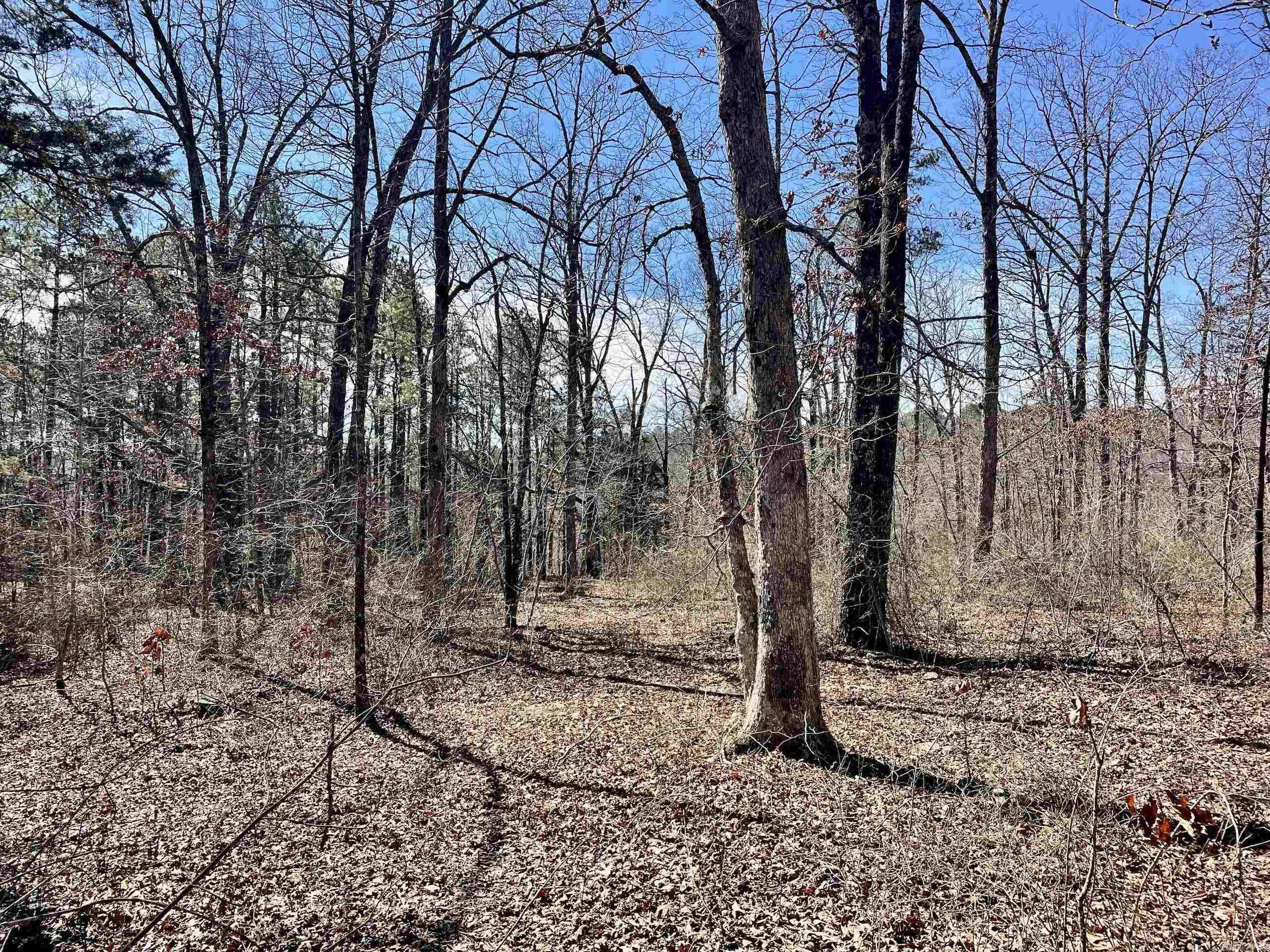 000 HWY 254  Dennard, AR