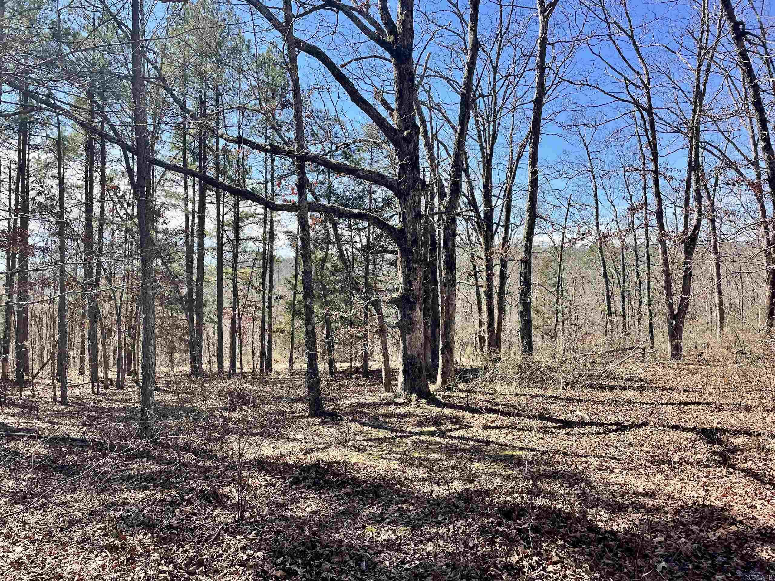 000 HWY 254  Dennard, AR