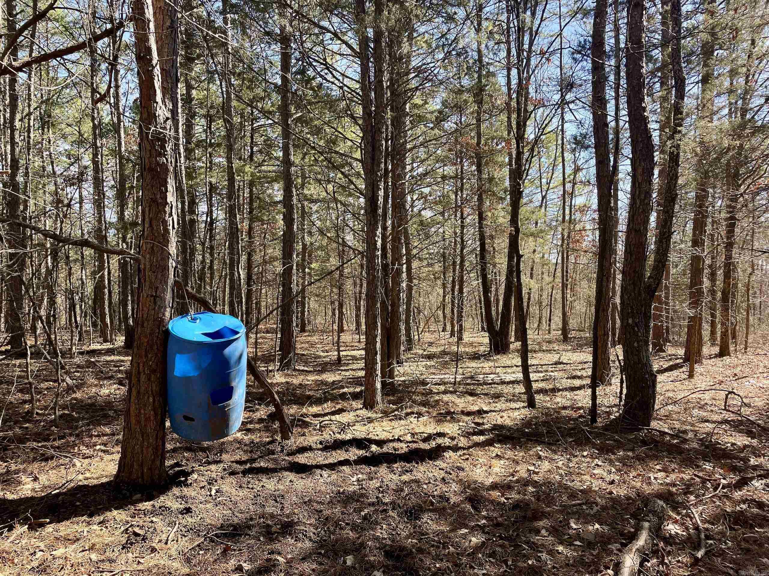 000 HWY 254  Dennard, AR