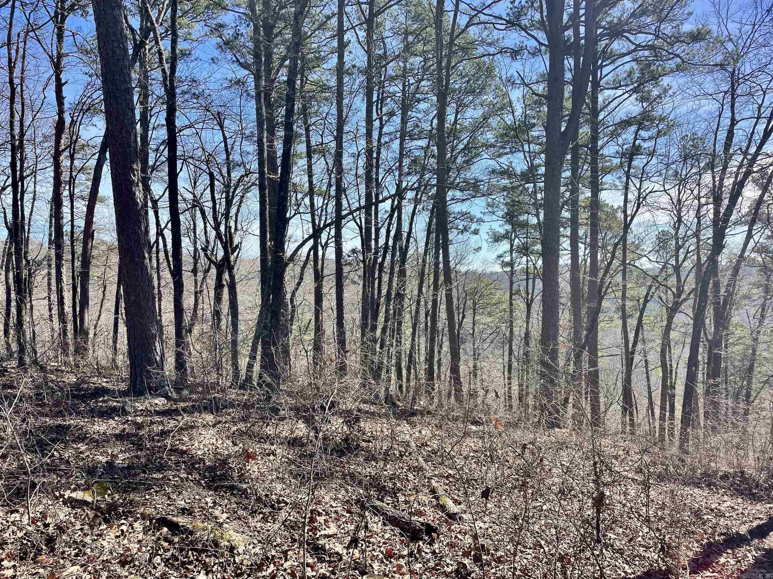 000 HWY 254  Dennard, AR