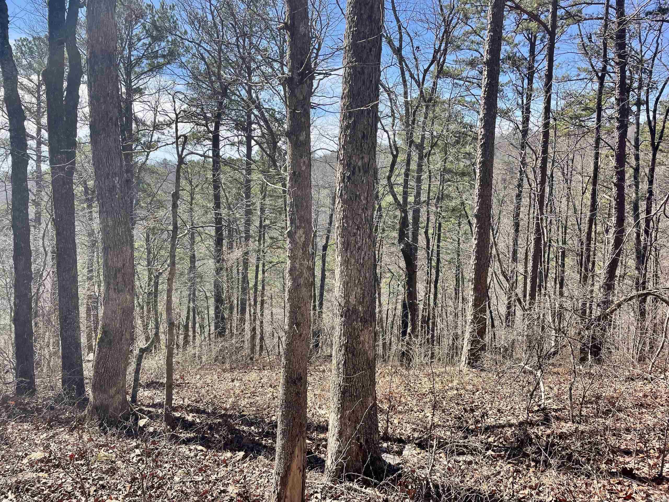 000 HWY 254  Dennard, AR