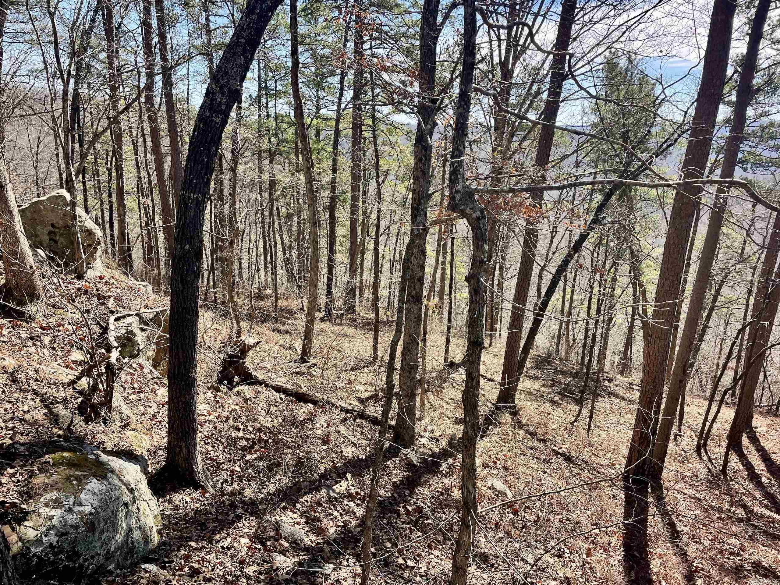 000 HWY 254  Dennard, AR