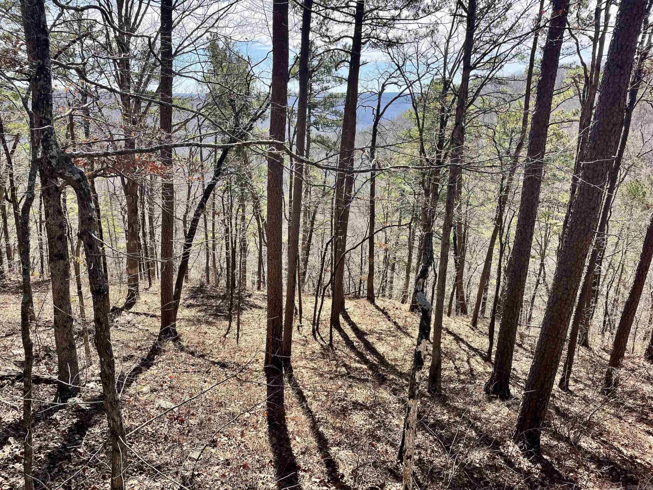 000 HWY 254  Dennard, AR