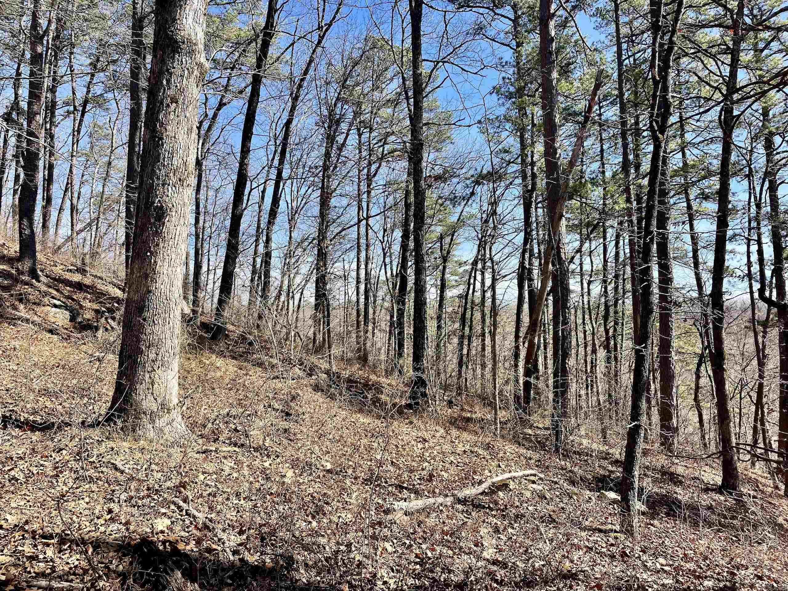 000 HWY 254  Dennard, AR