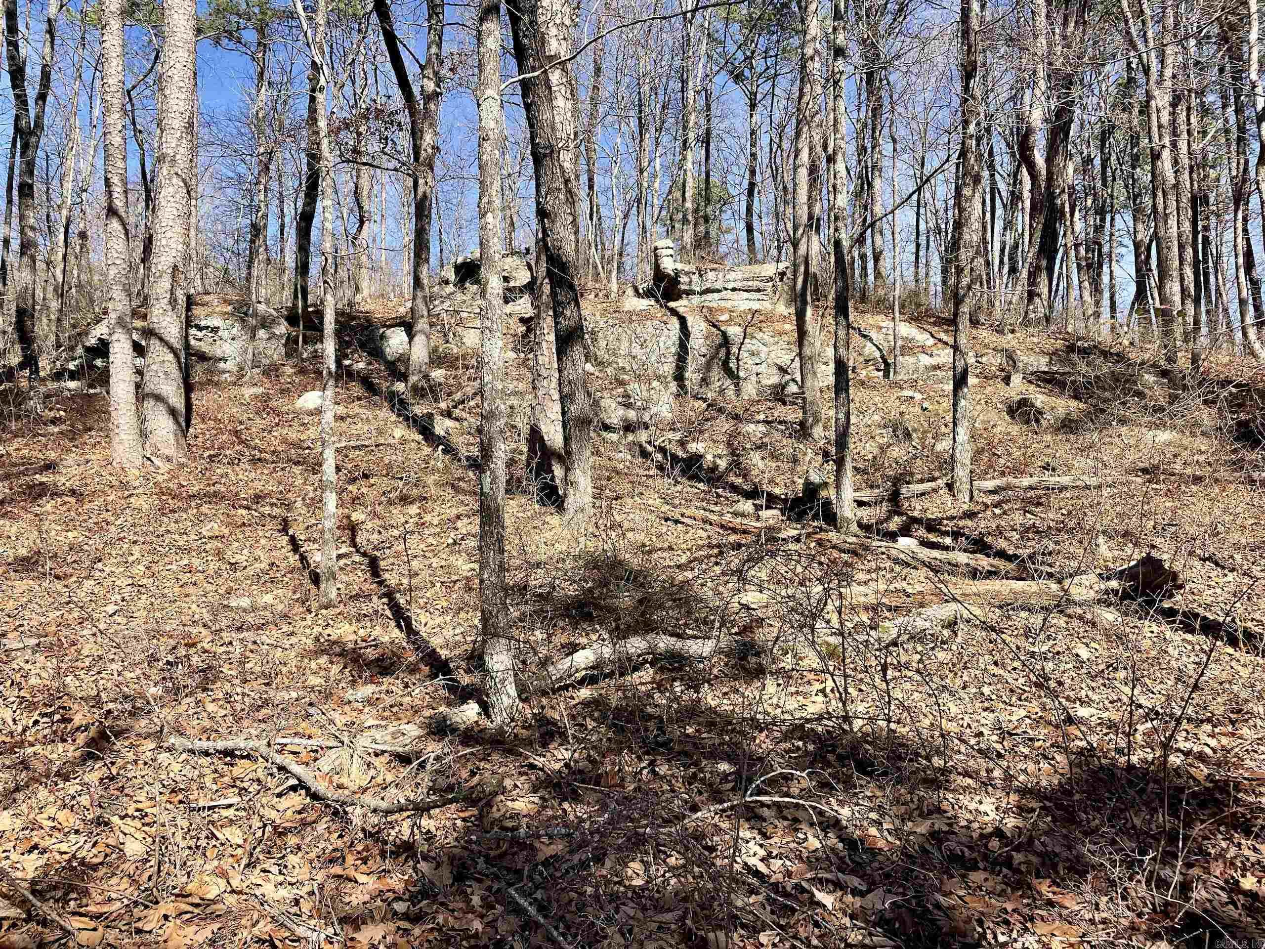 000 HWY 254  Dennard, AR