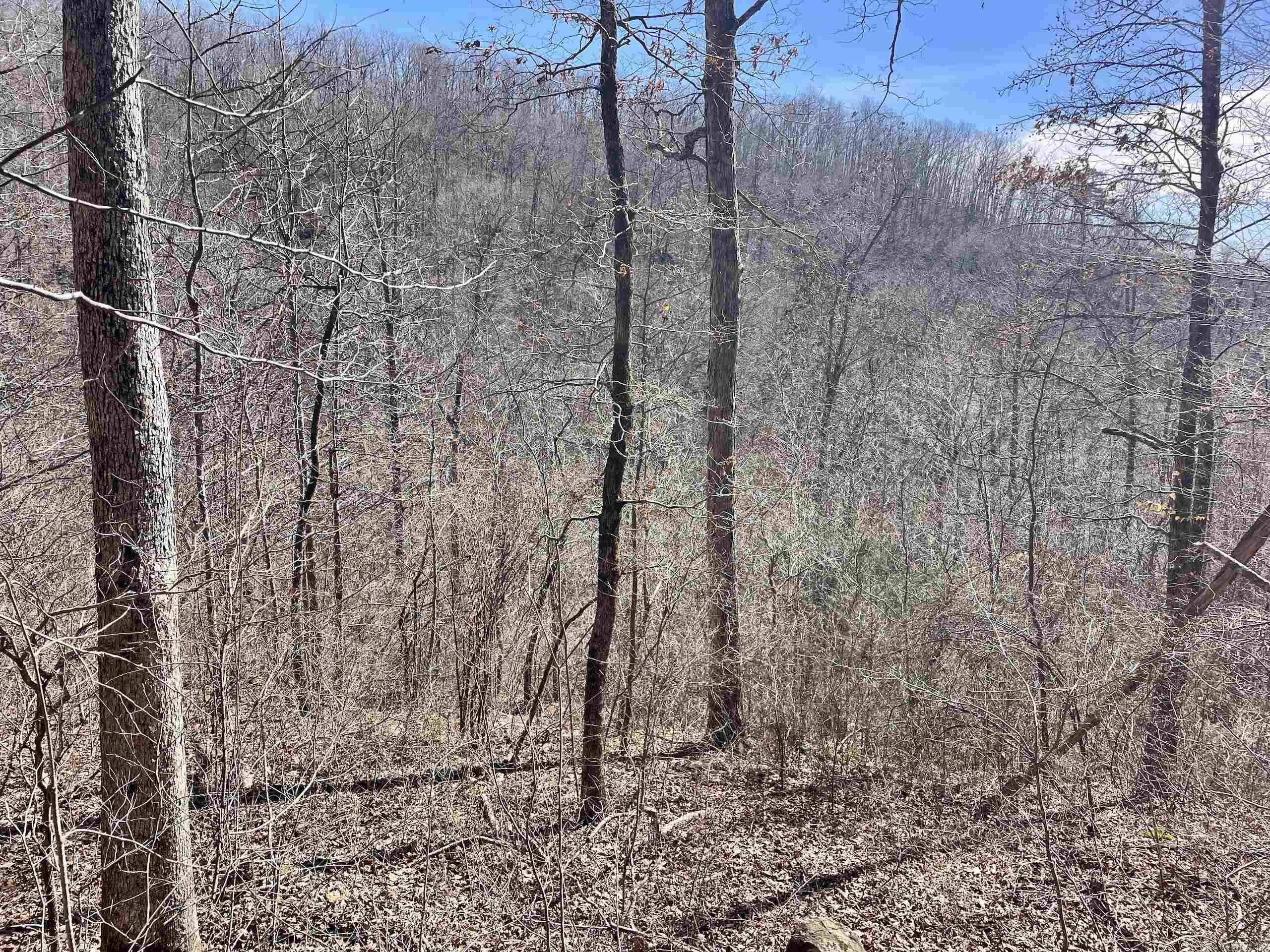 000 HWY 254  Dennard, AR