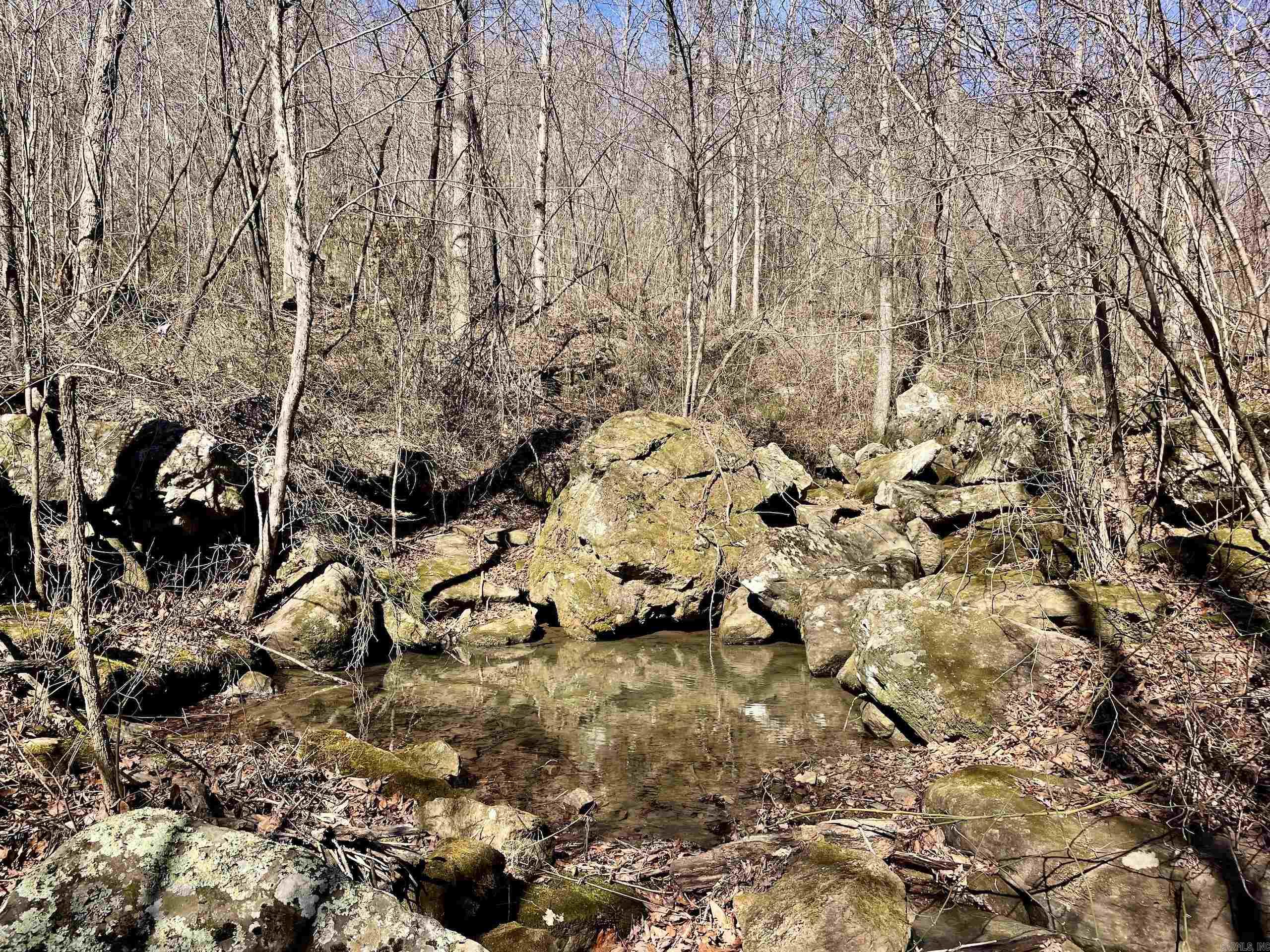 000 HWY 254  Dennard, AR