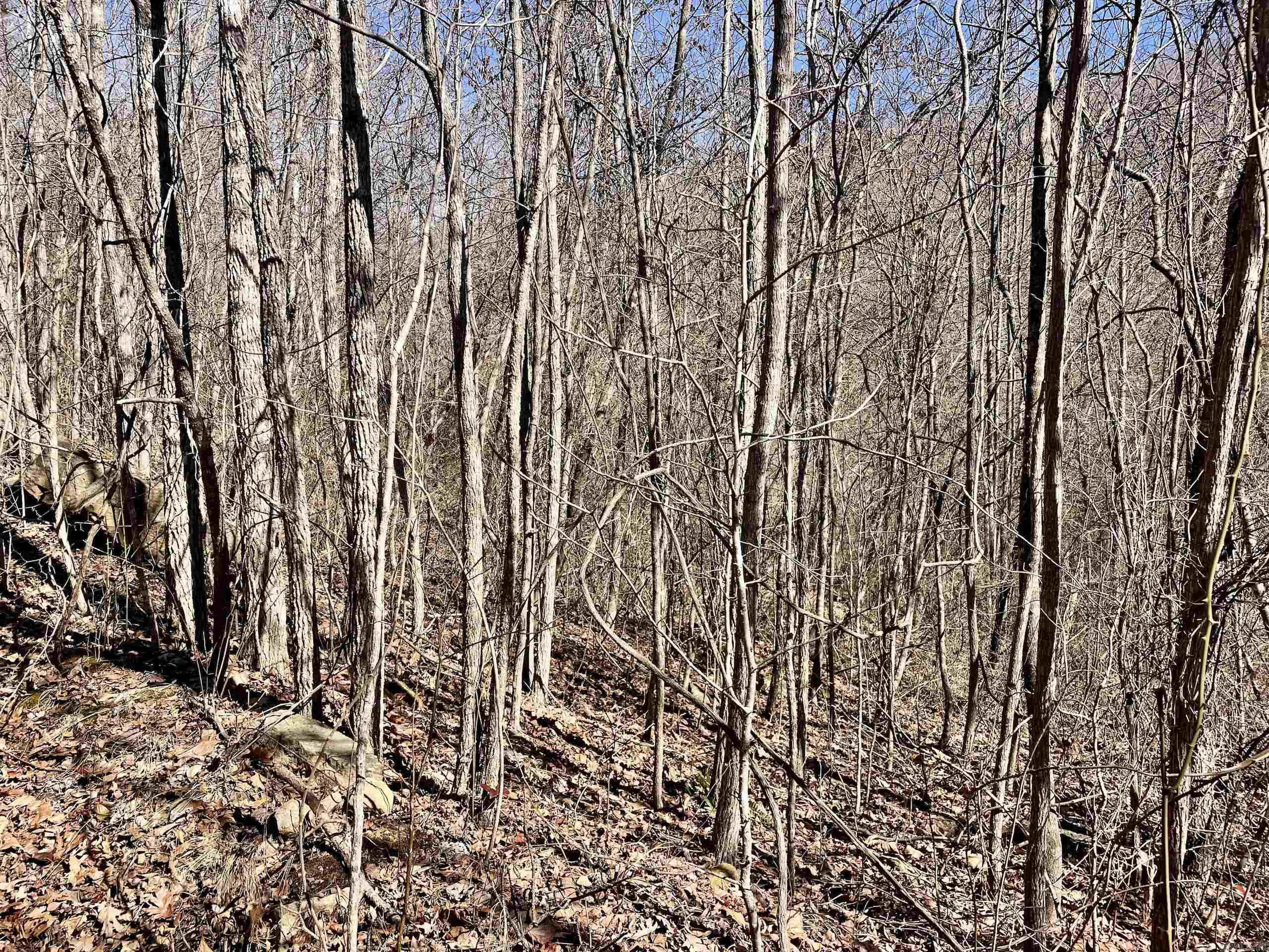 000 HWY 254  Dennard, AR