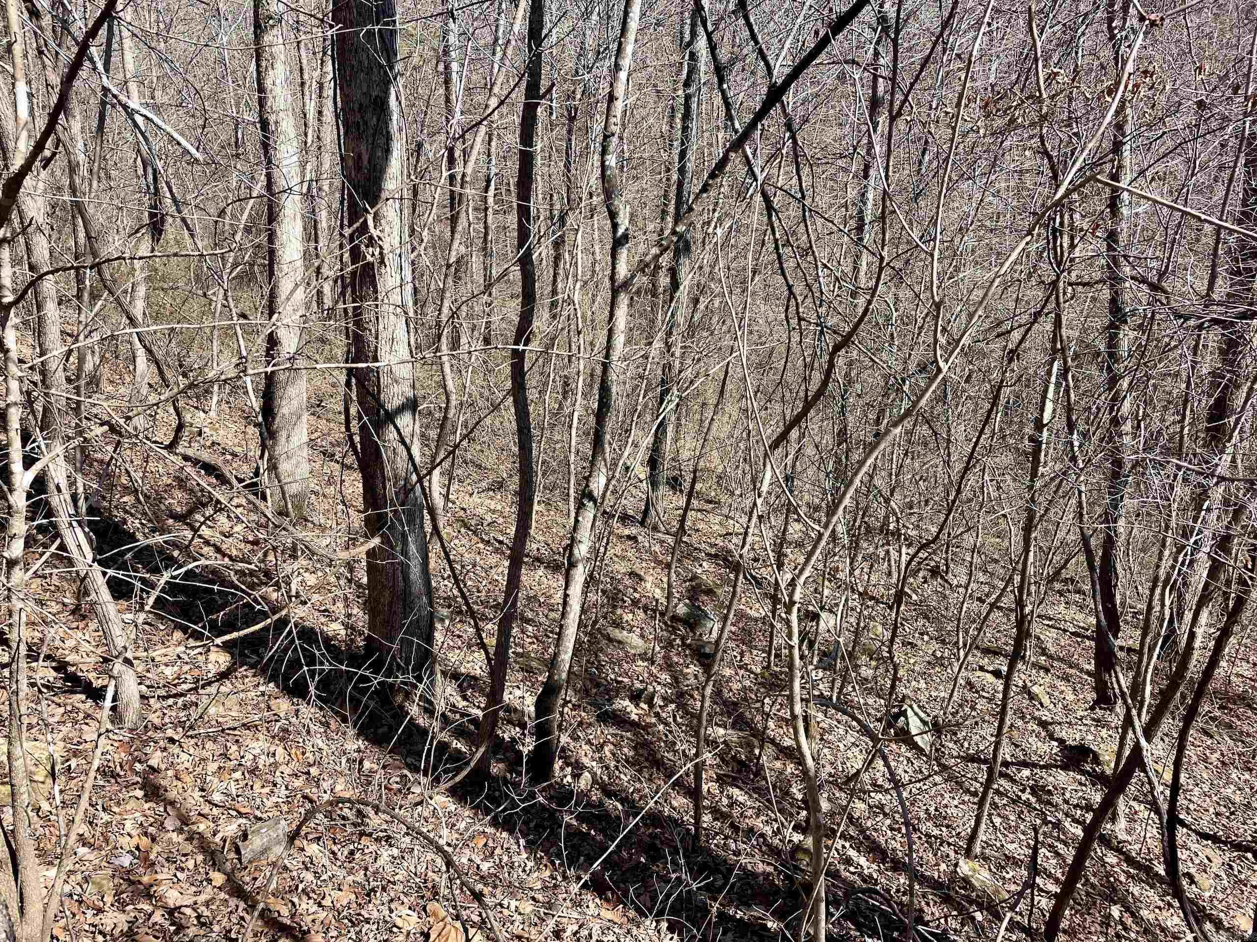 000 HWY 254  Dennard, AR