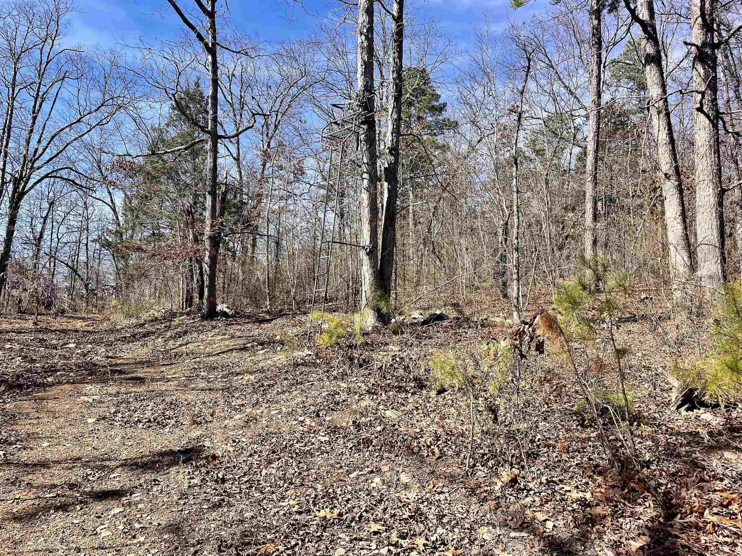 000 HWY 254  Dennard, AR