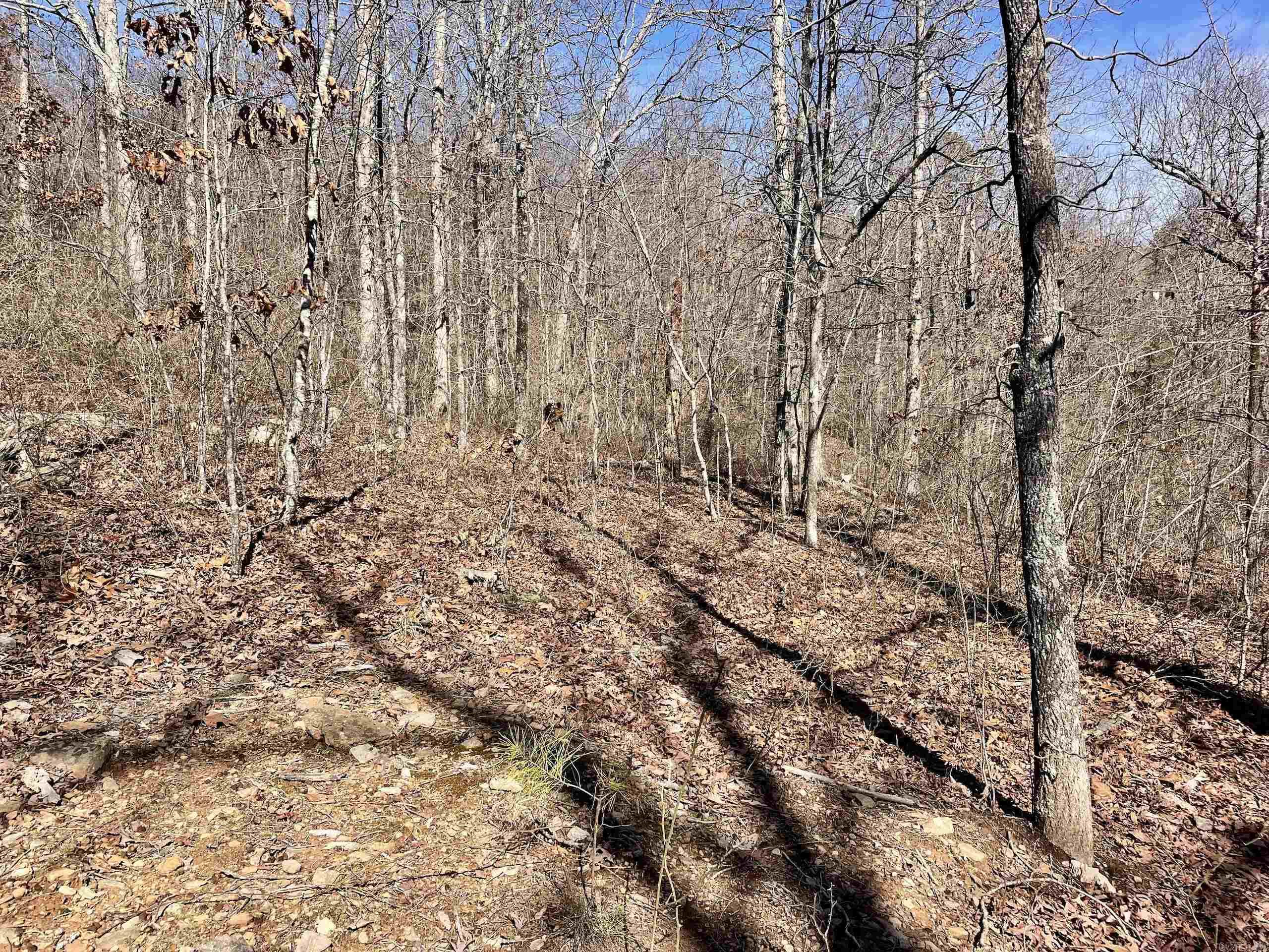 000 HWY 254  Dennard, AR