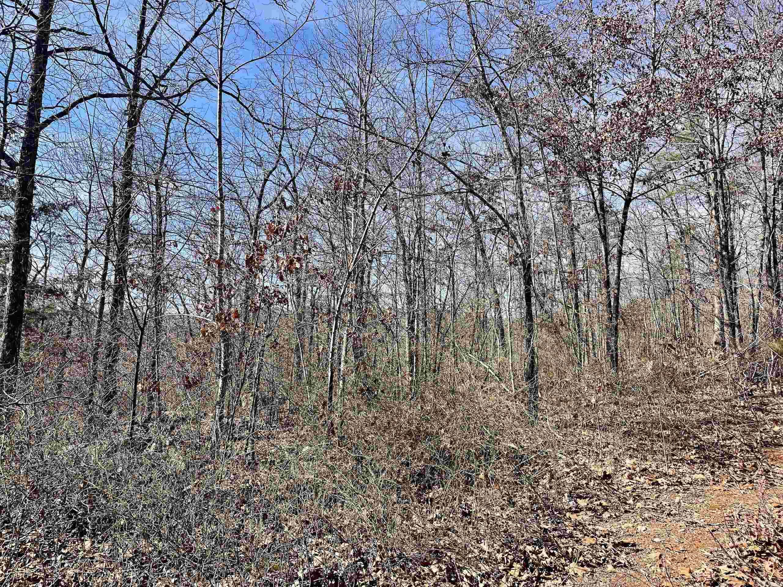 000 HWY 254  Dennard, AR