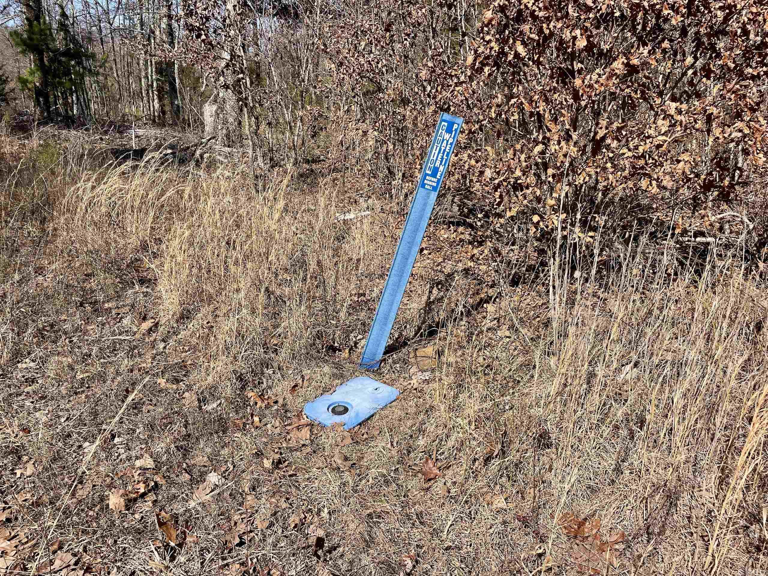 000 HWY 254  Dennard, AR