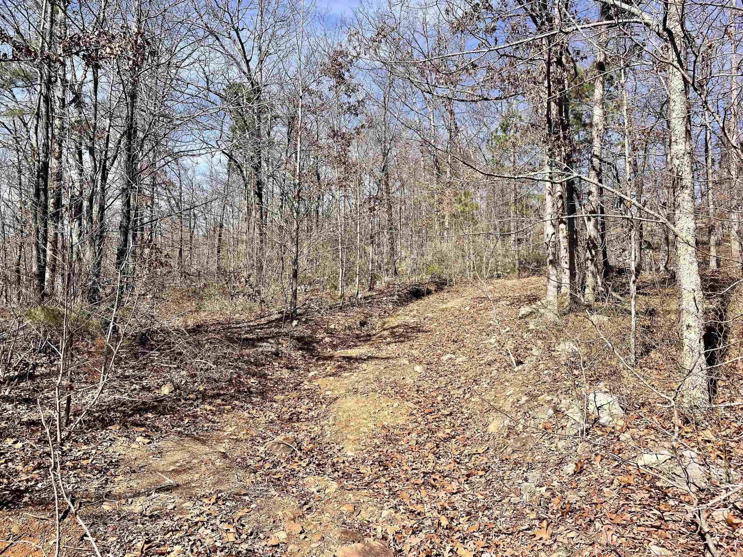 000 HWY 254  Dennard, AR