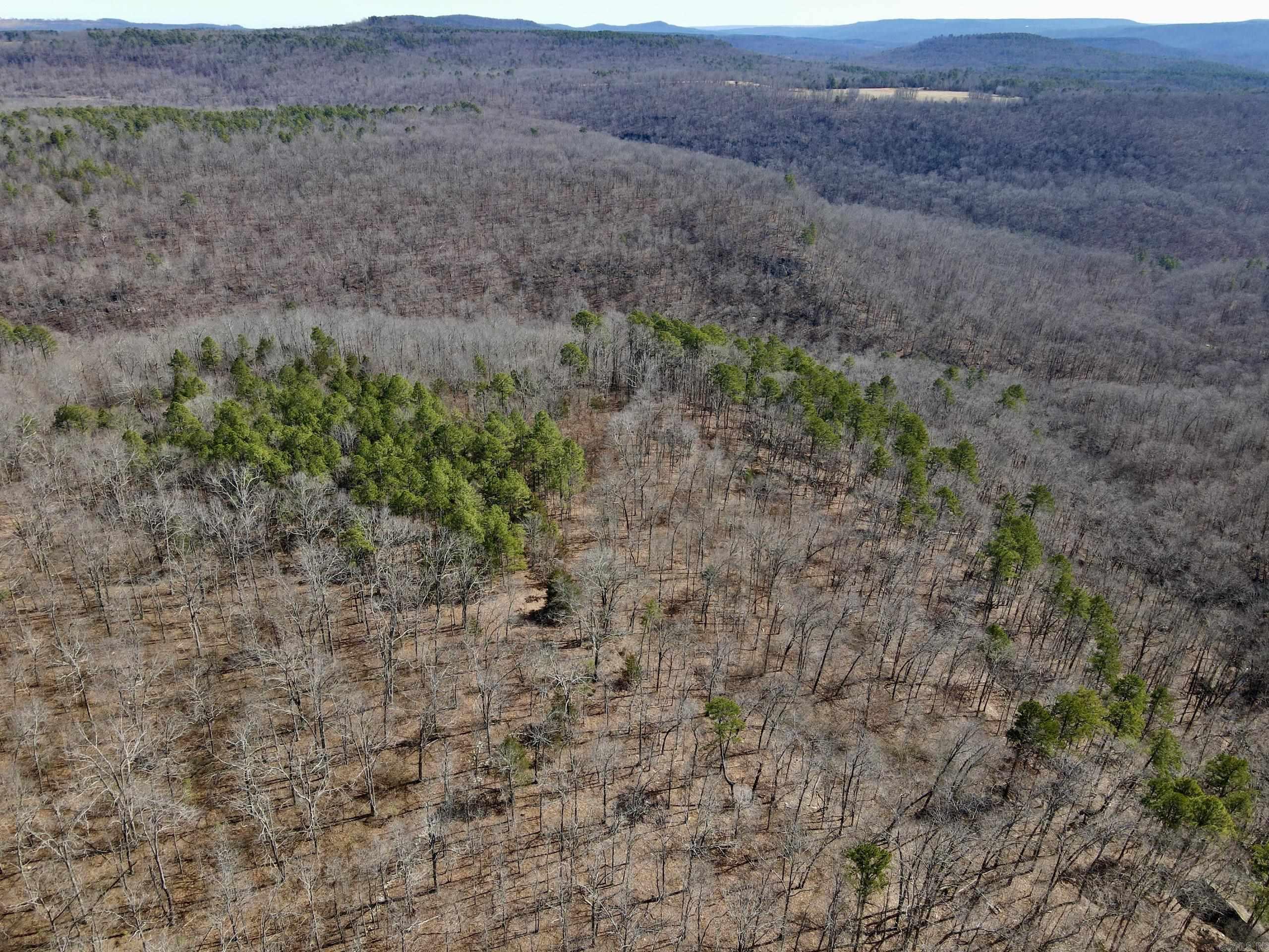 000 HWY 254  Dennard, AR