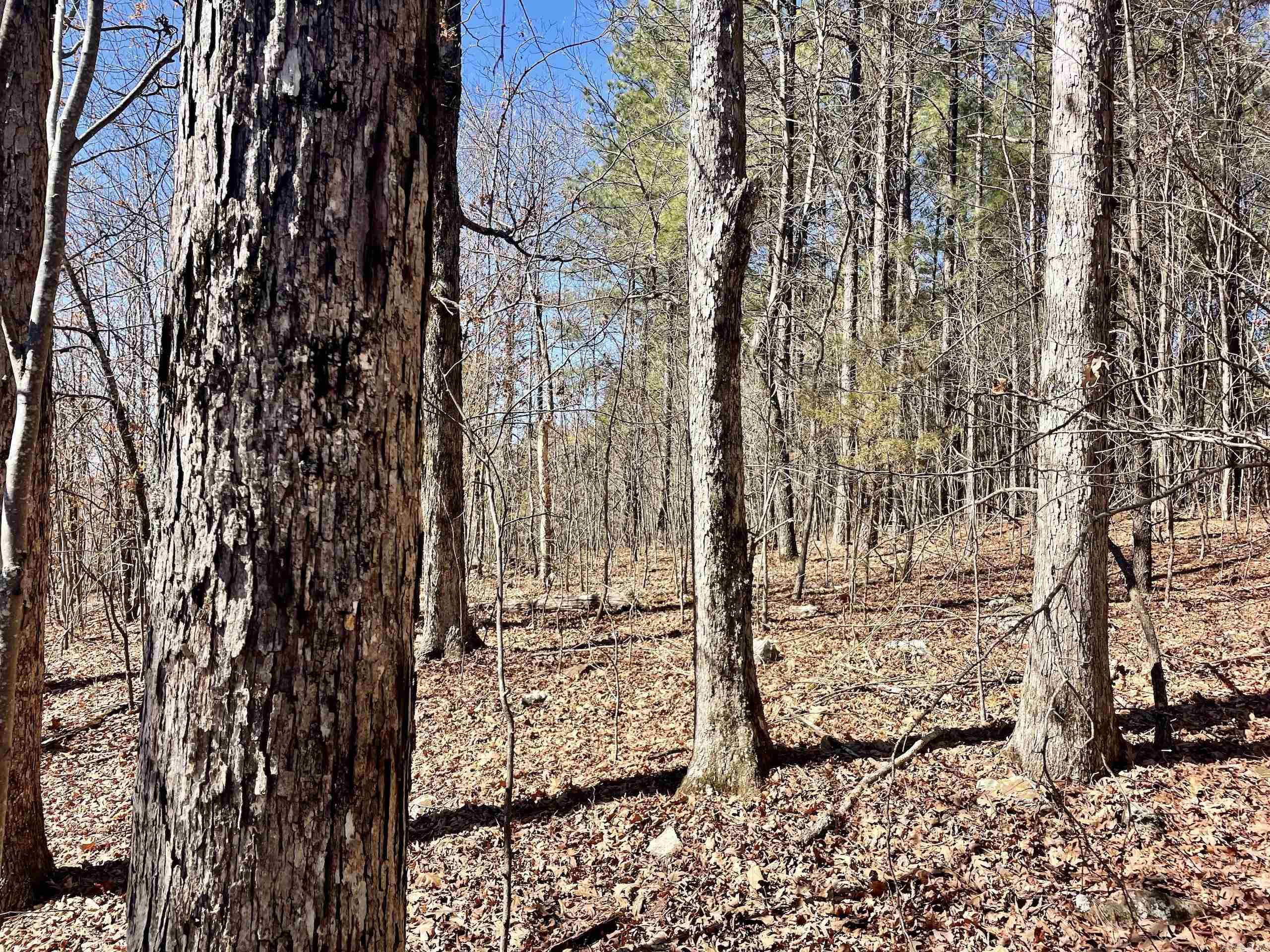 000 Brock Road  Jerusalem, AR