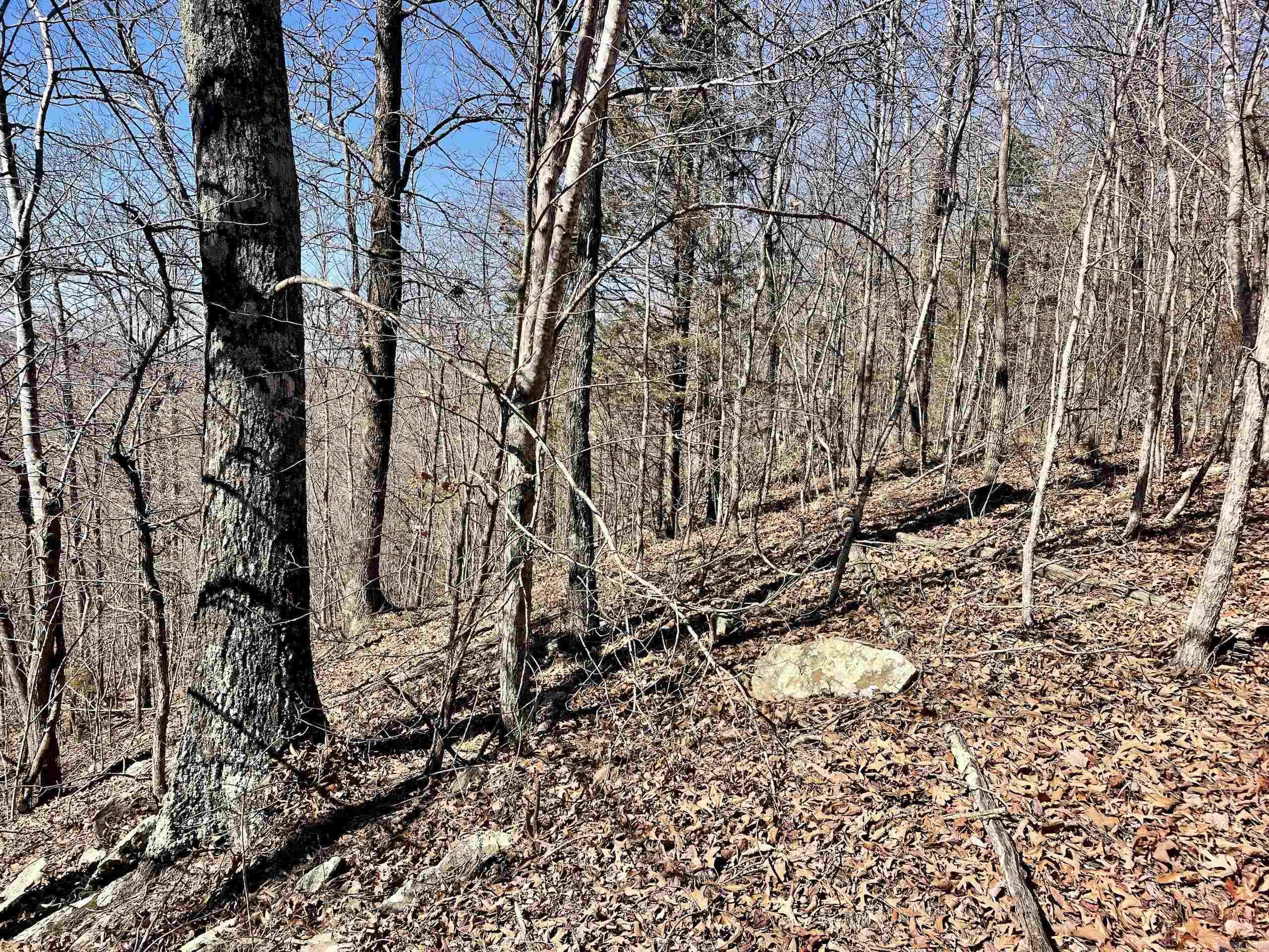 000 Brock Road  Jerusalem, AR