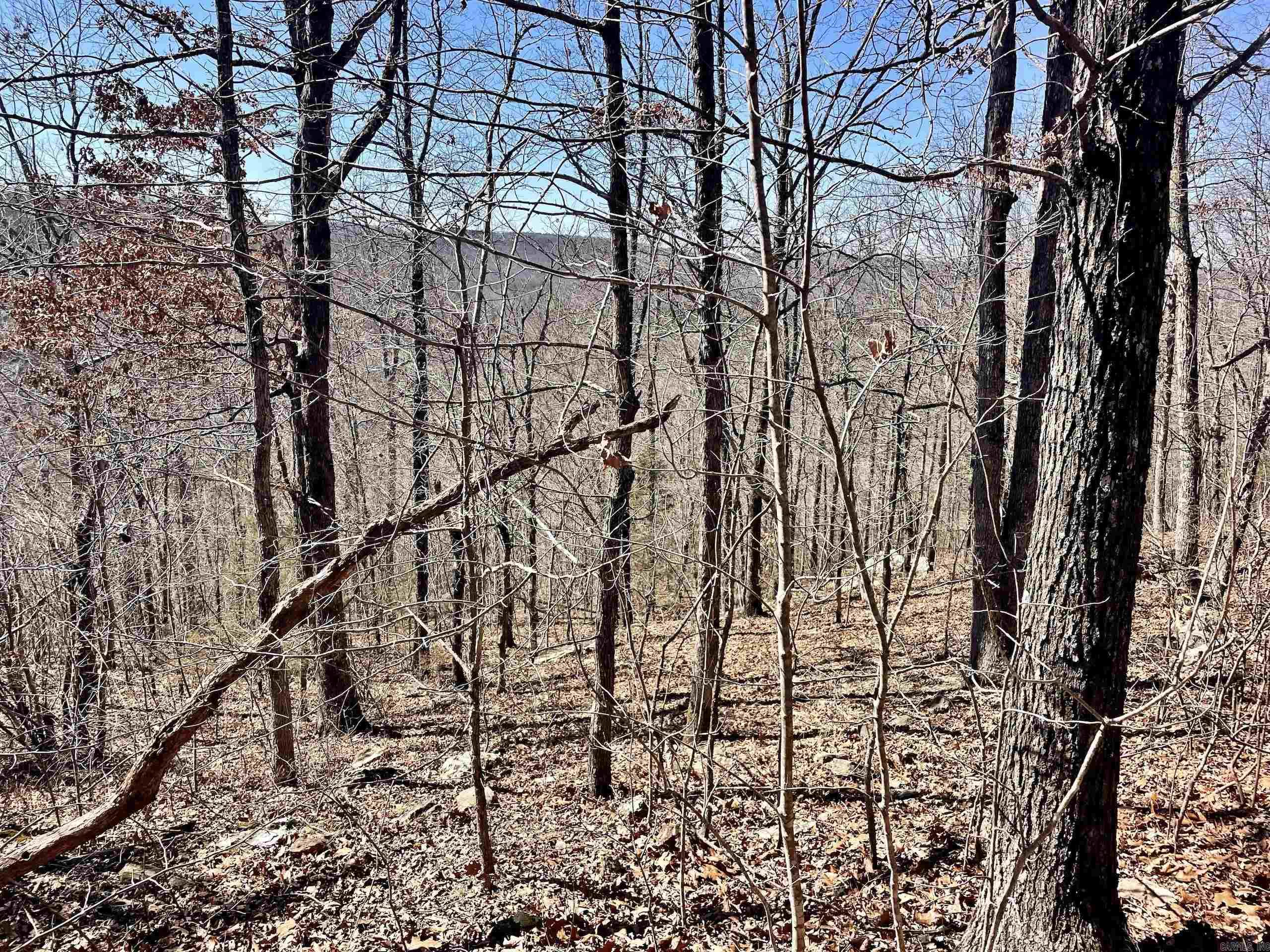 000 Brock Road  Jerusalem, AR