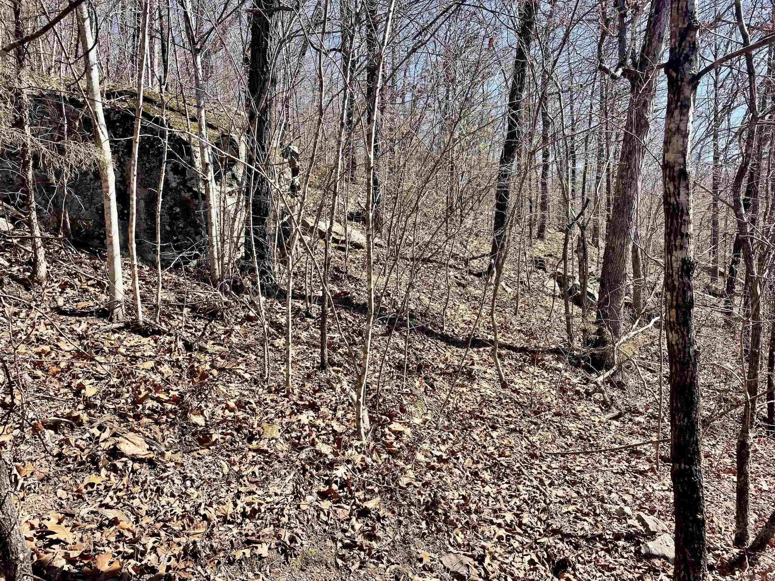 000 Brock Road  Jerusalem, AR