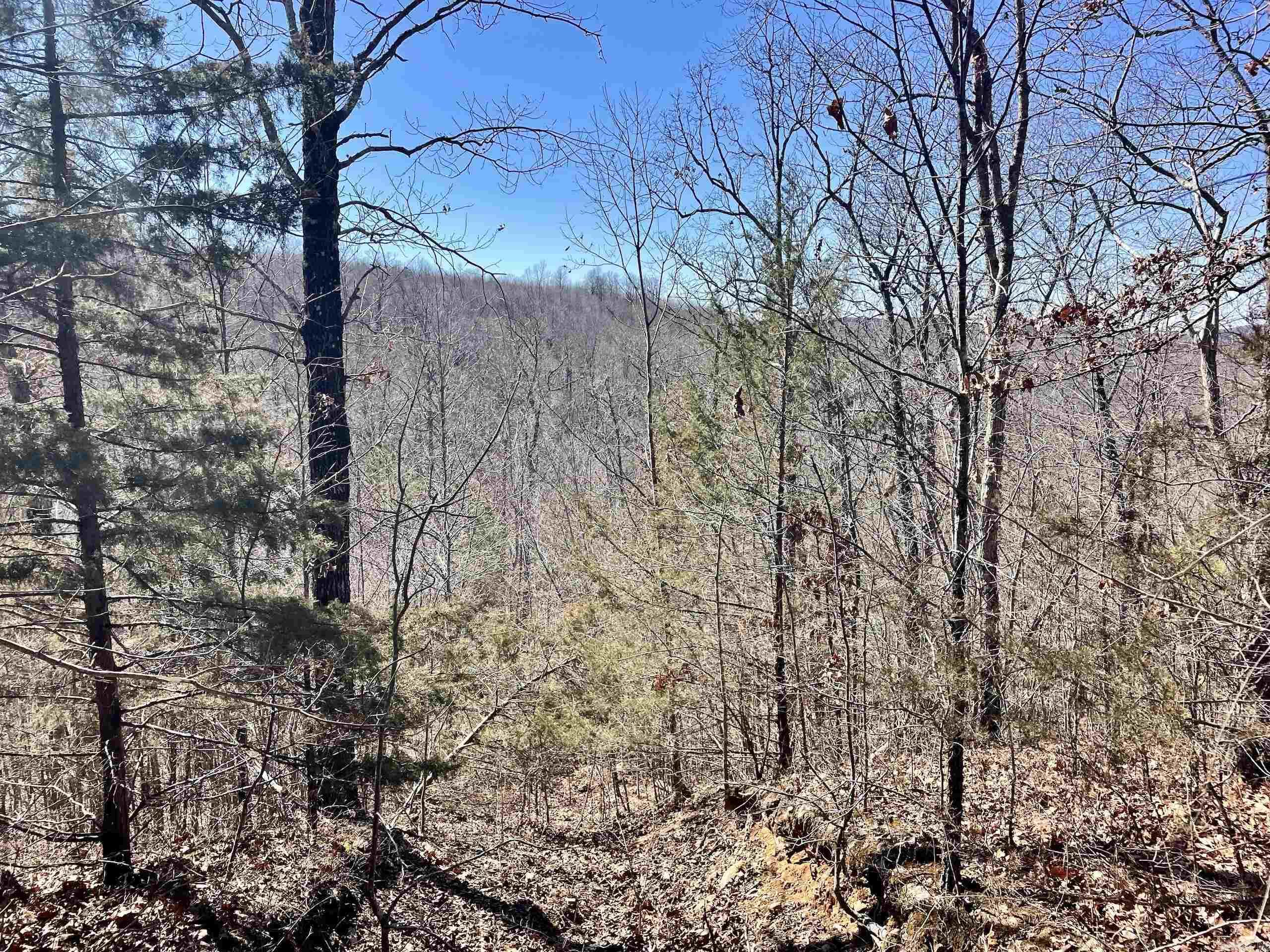 000 Brock Road  Jerusalem, AR