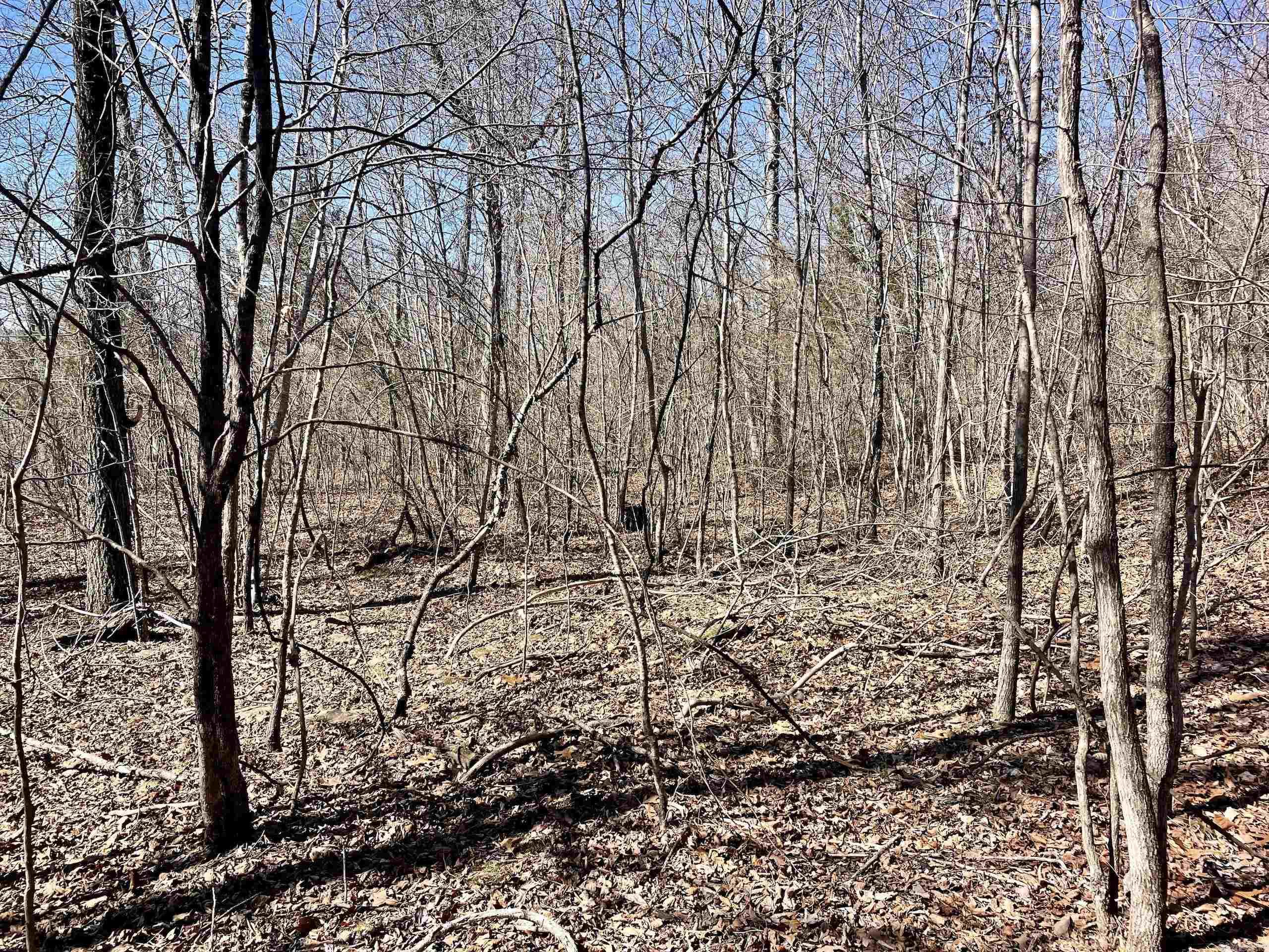 000 Brock Road  Jerusalem, AR