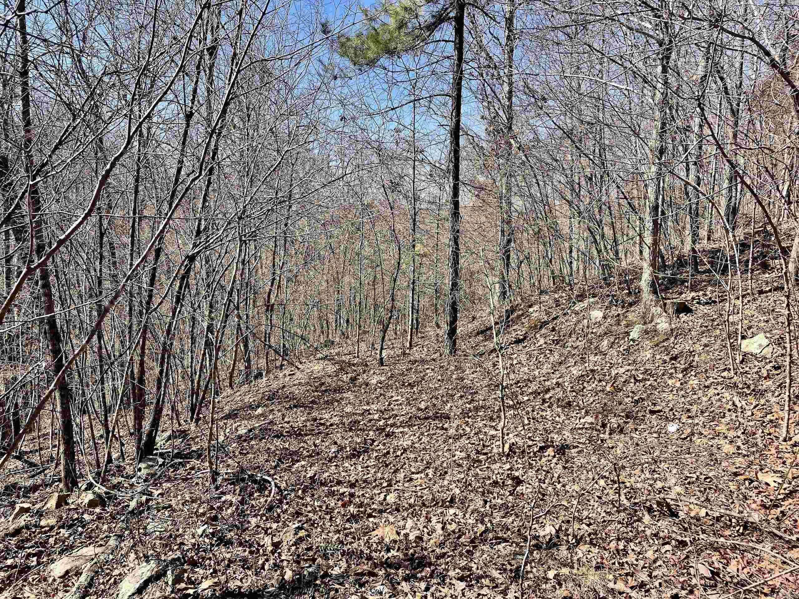 000 Brock Road  Jerusalem, AR