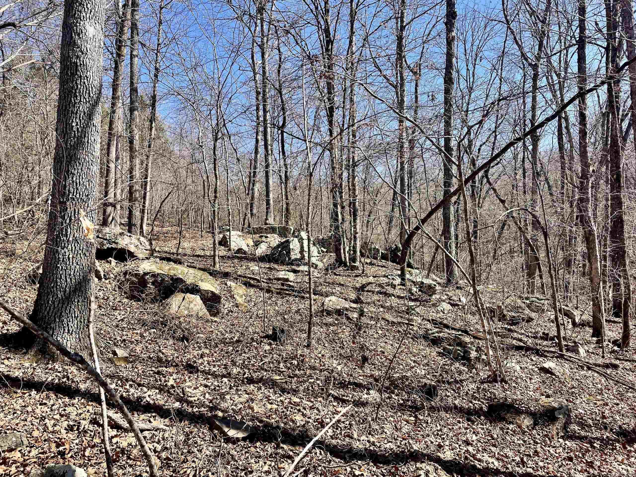 000 Brock Road  Jerusalem, AR