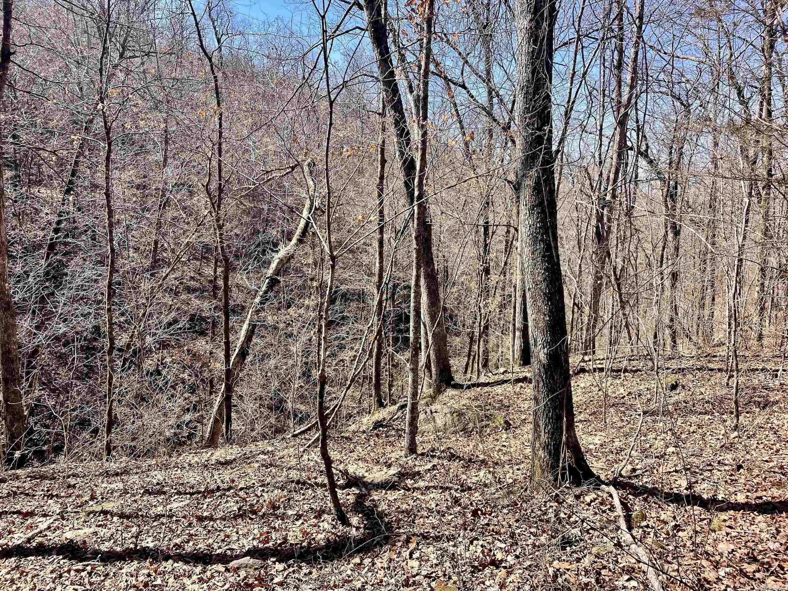 000 Brock Road  Jerusalem, AR