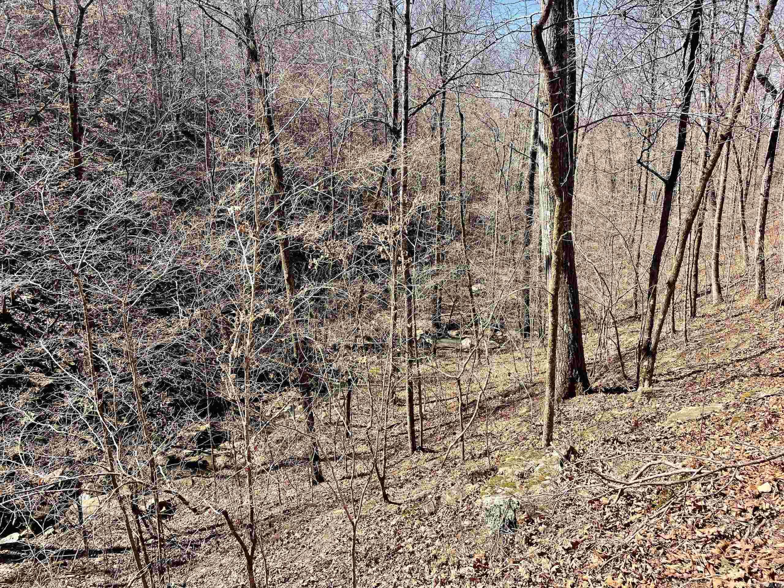 000 Brock Road  Jerusalem, AR