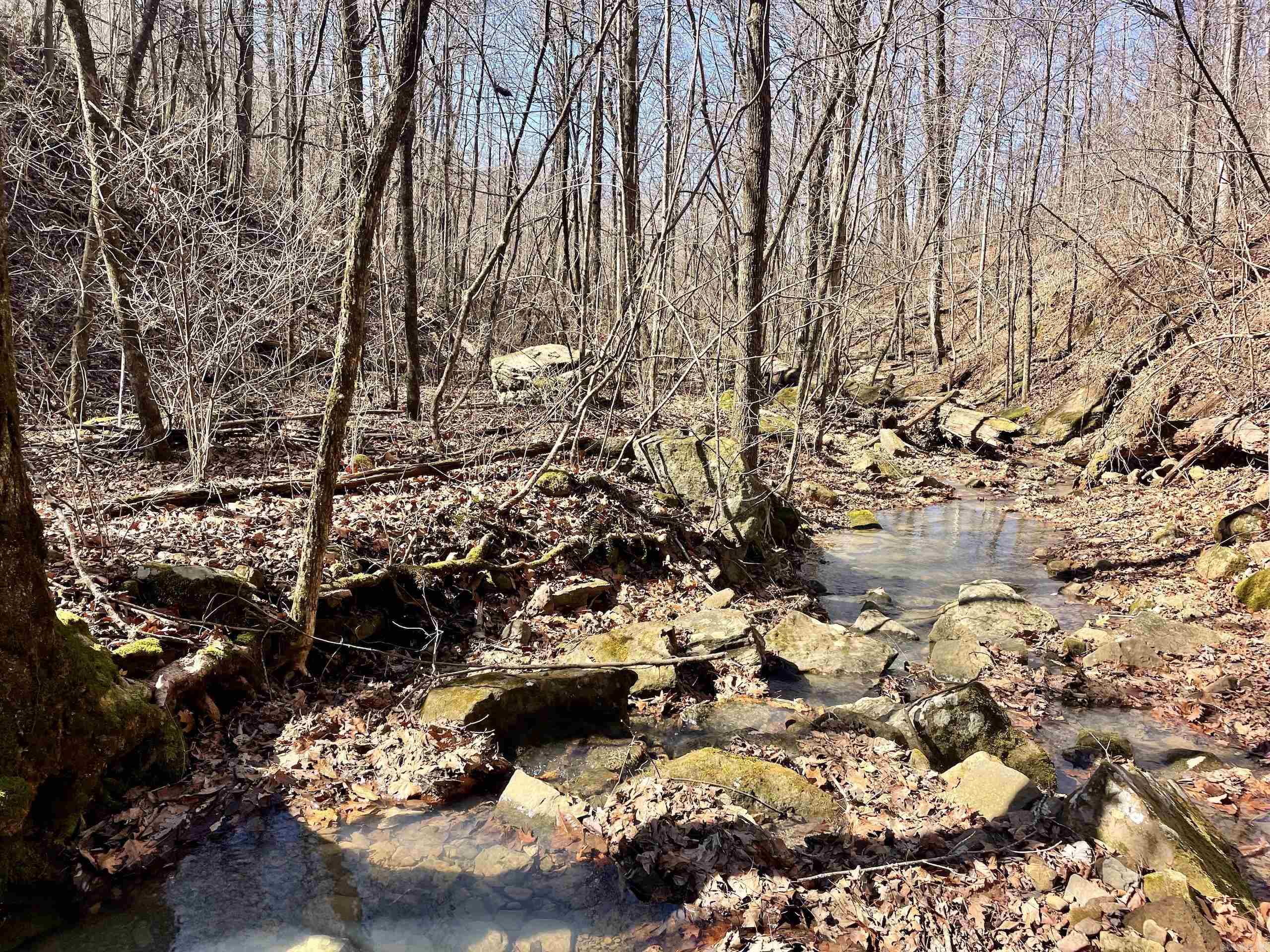 000 Brock Road  Jerusalem, AR