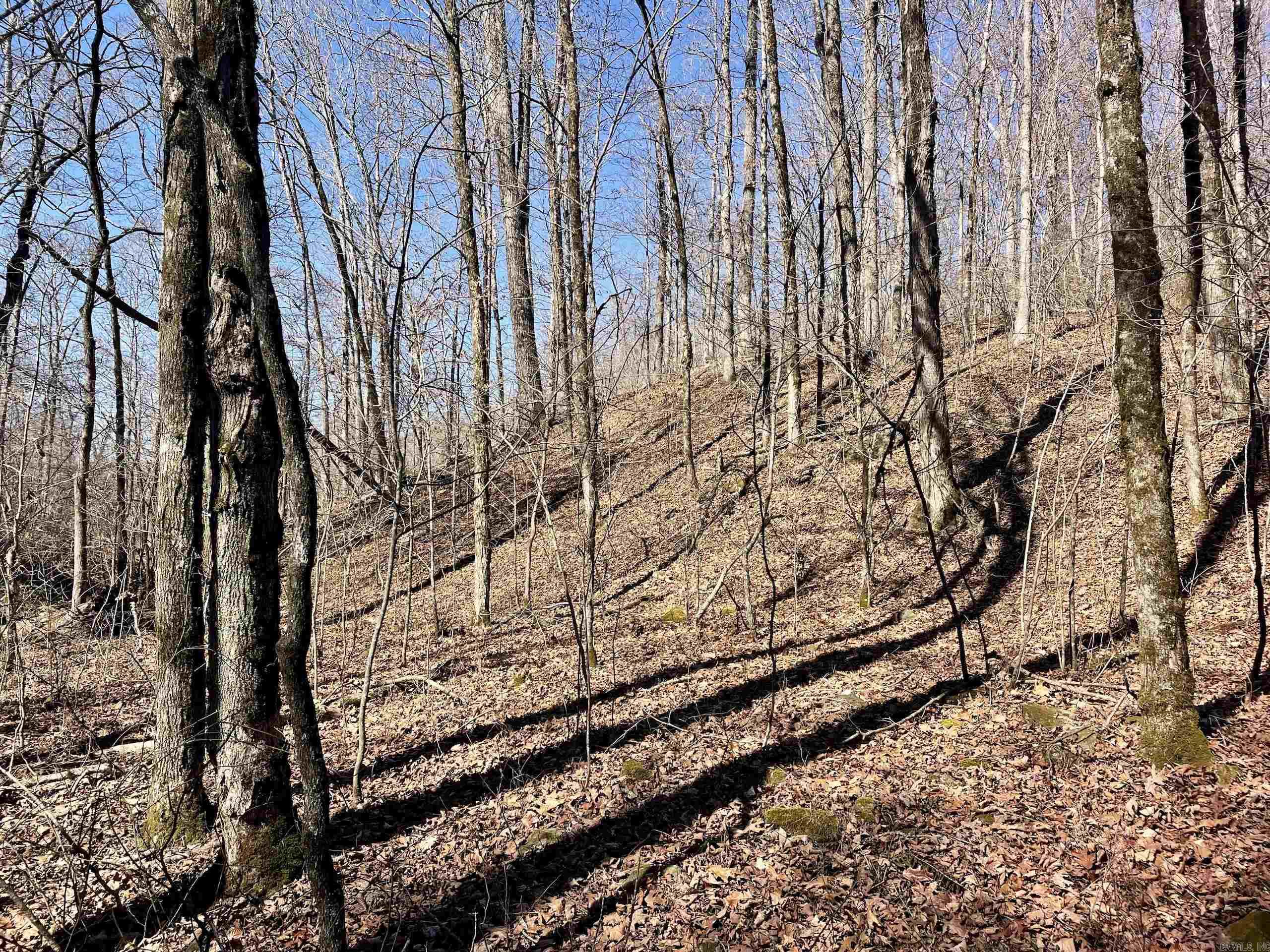 000 Brock Road  Jerusalem, AR