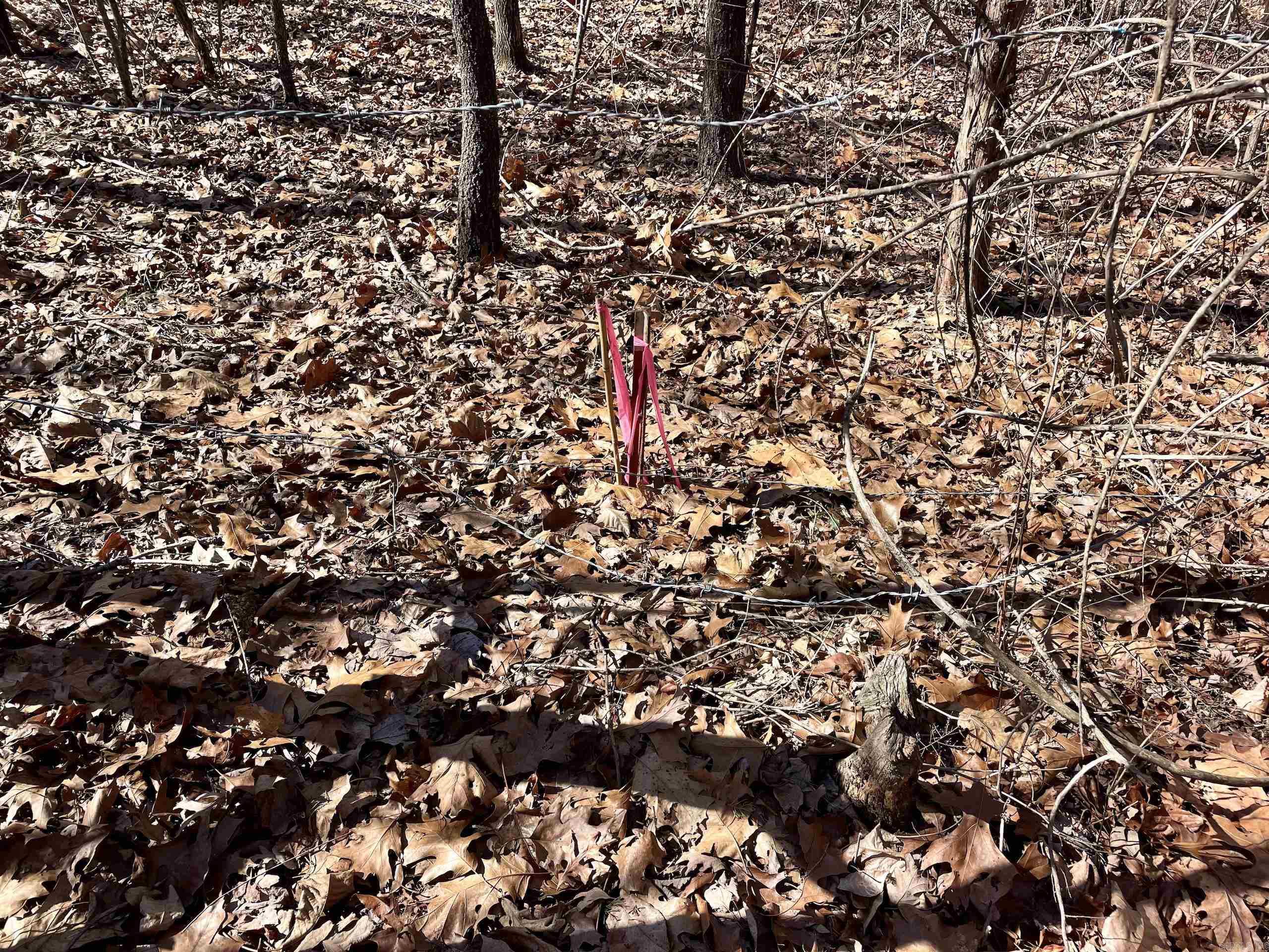 000 Brock Road  Jerusalem, AR