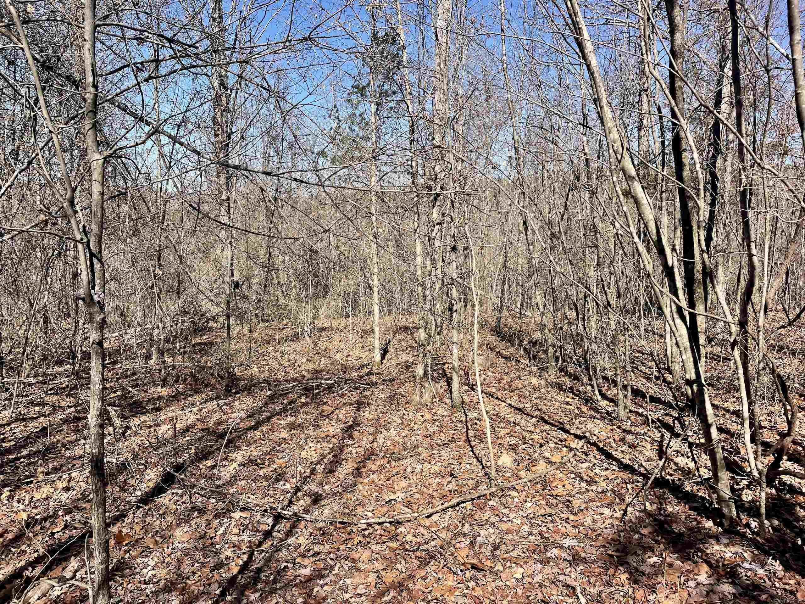 000 Brock Road  Jerusalem, AR