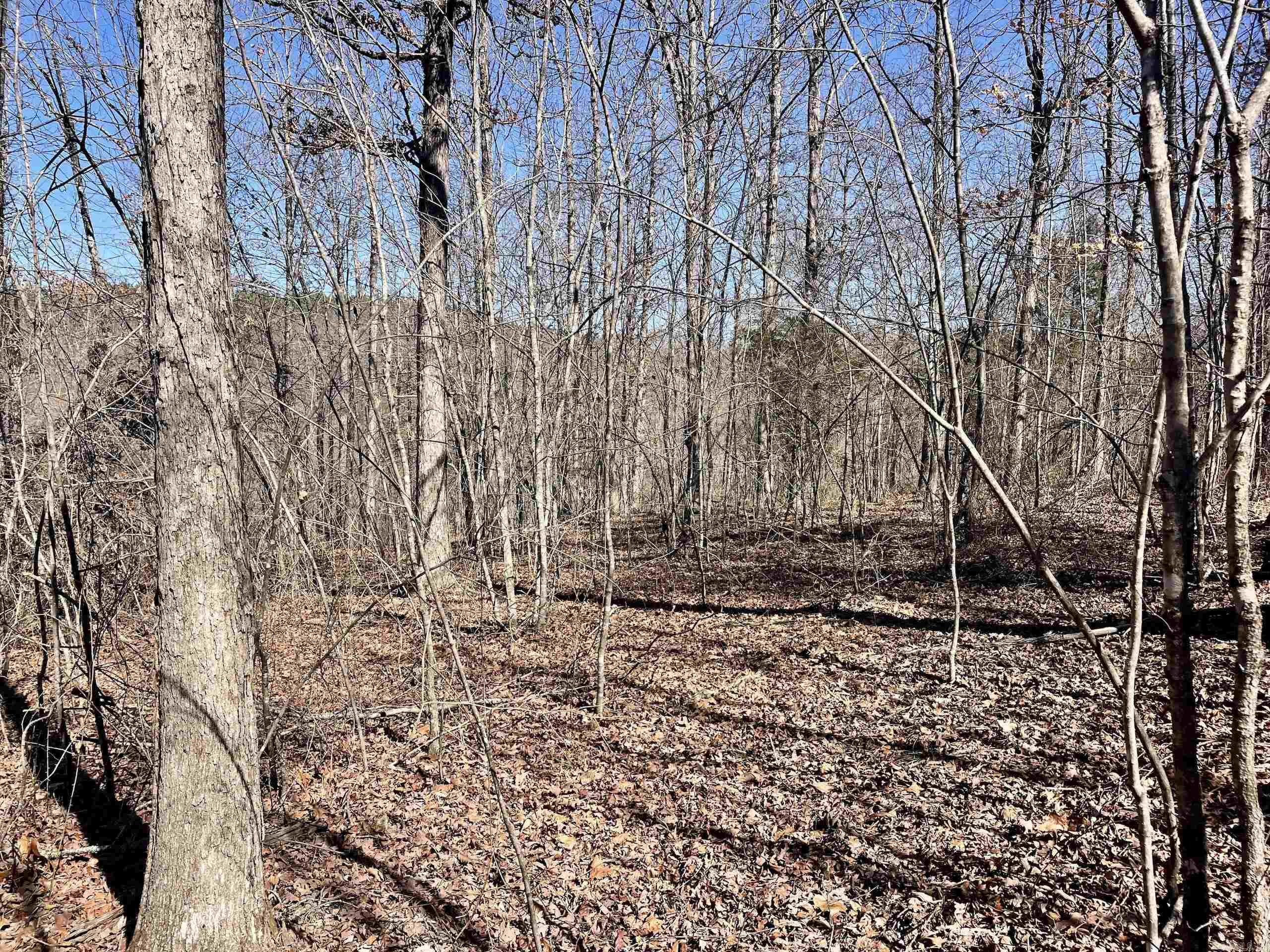 000 Brock Road  Jerusalem, AR