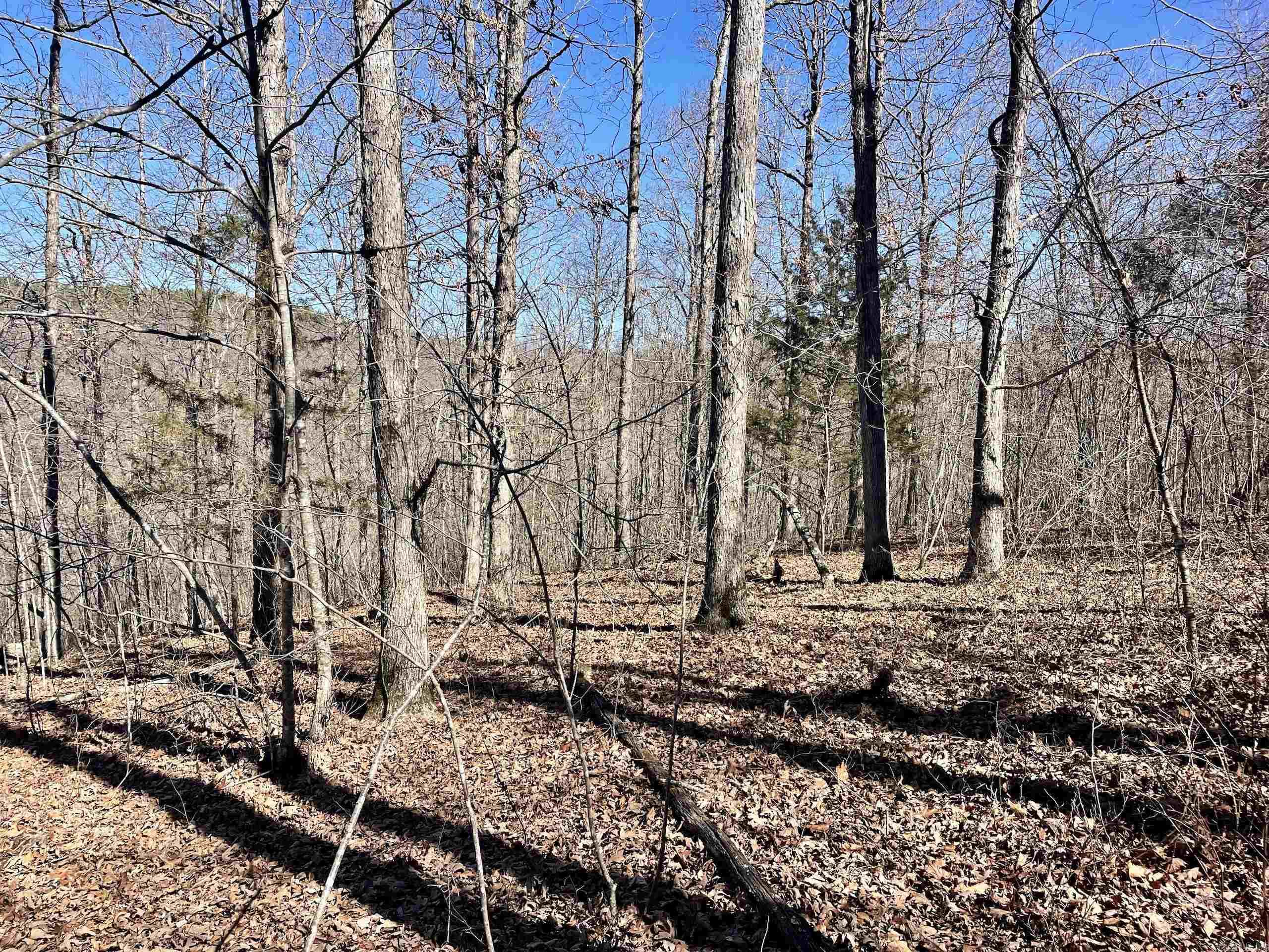 000 Brock Road  Jerusalem, AR