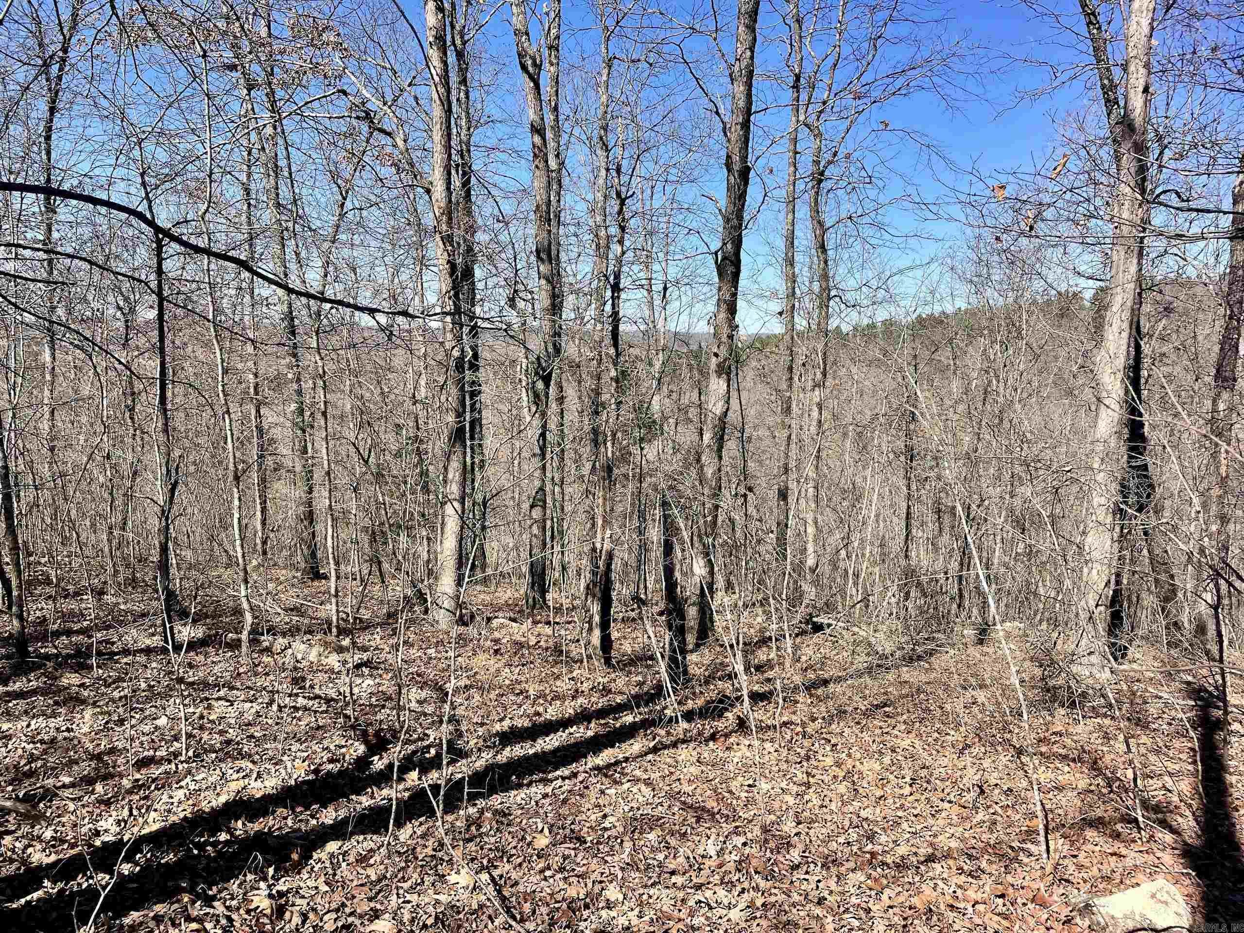 000 Brock Road  Jerusalem, AR