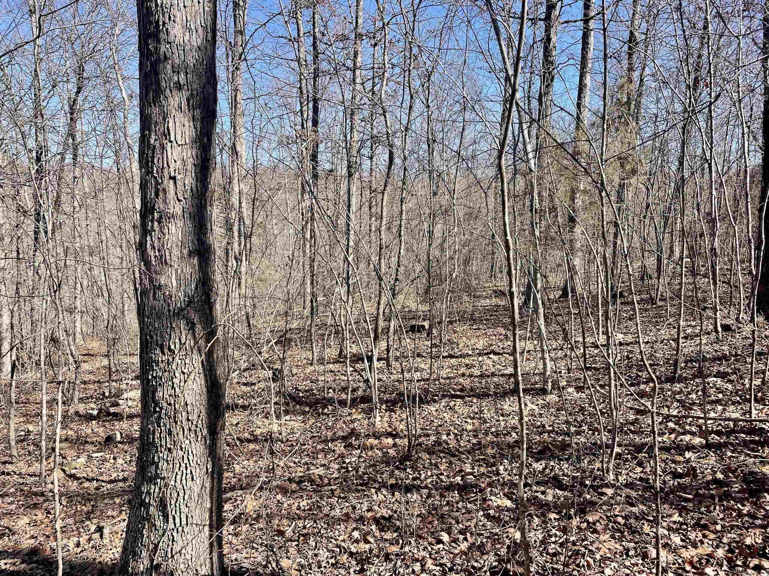 000 Brock Road  Jerusalem, AR