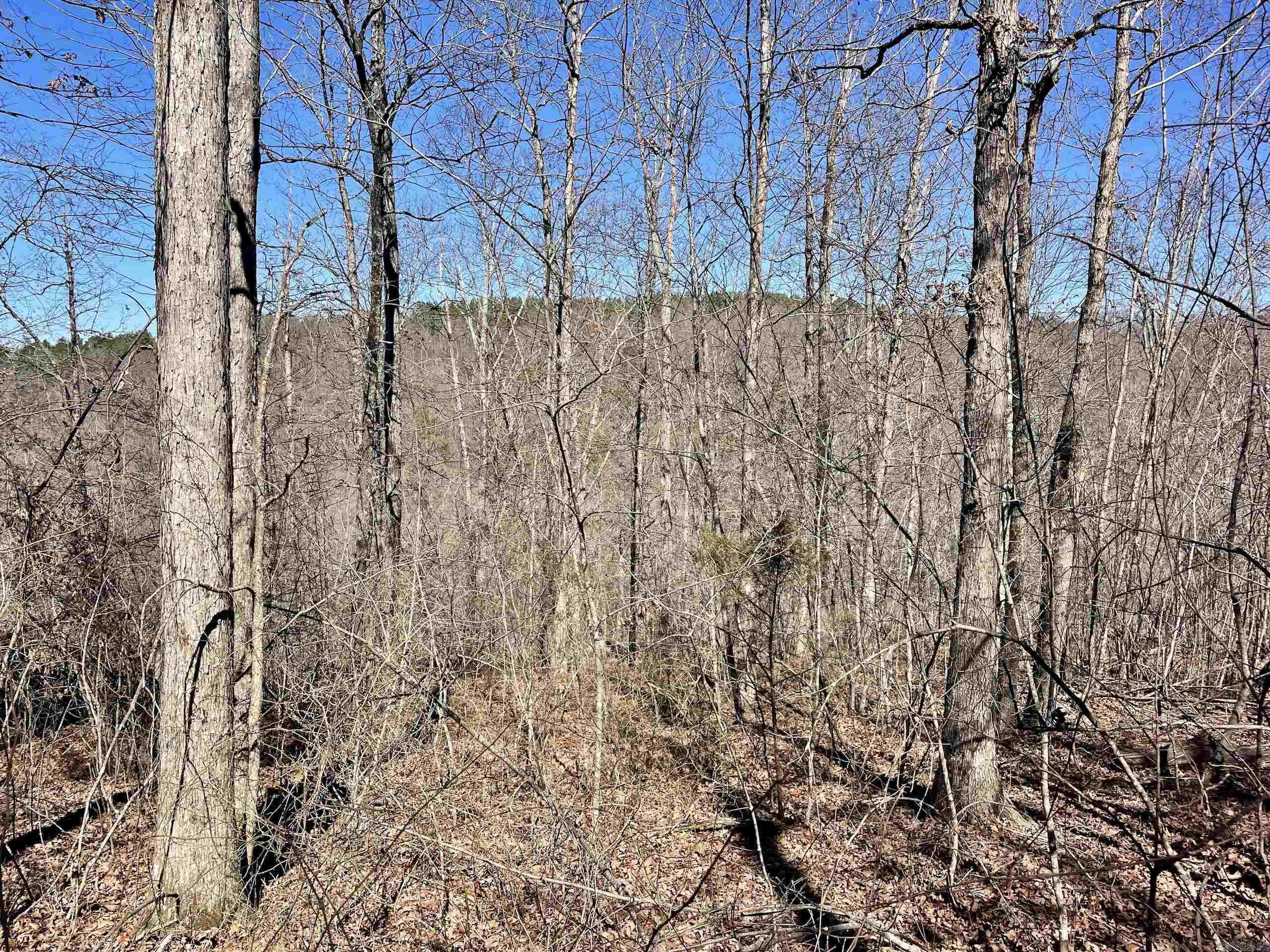 000 Brock Road  Jerusalem, AR