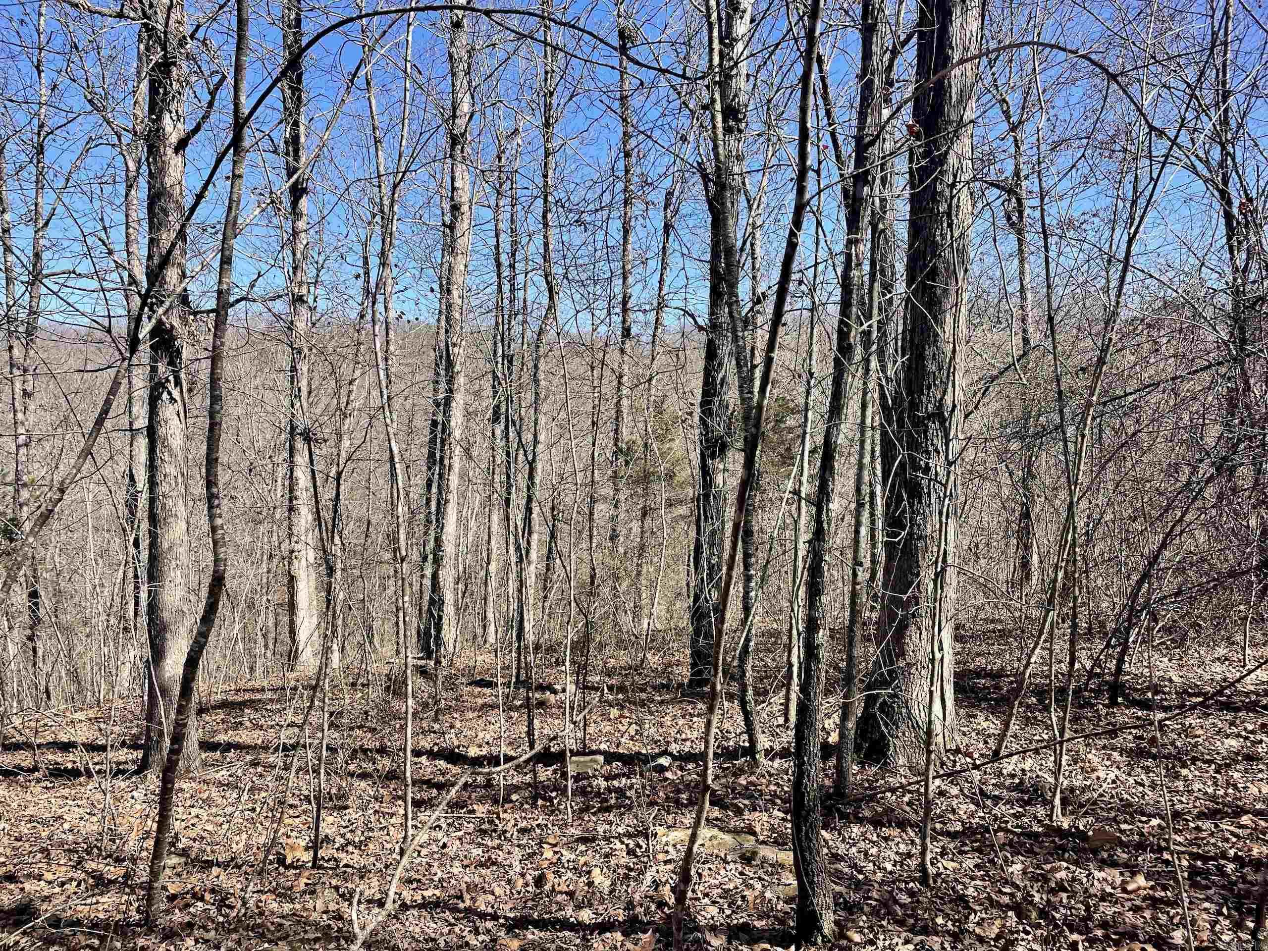 000 Brock Road  Jerusalem, AR