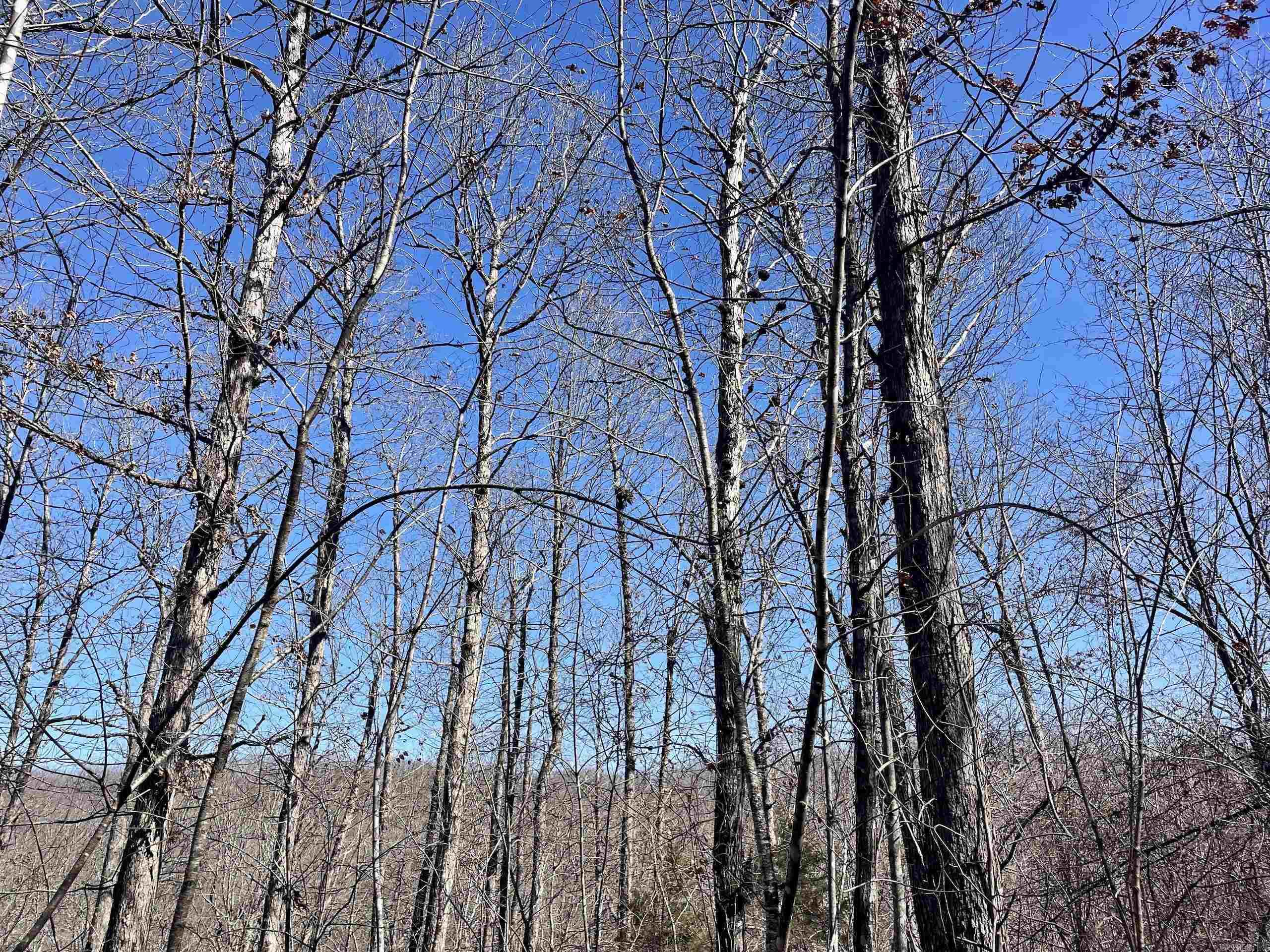 000 Brock Road  Jerusalem, AR