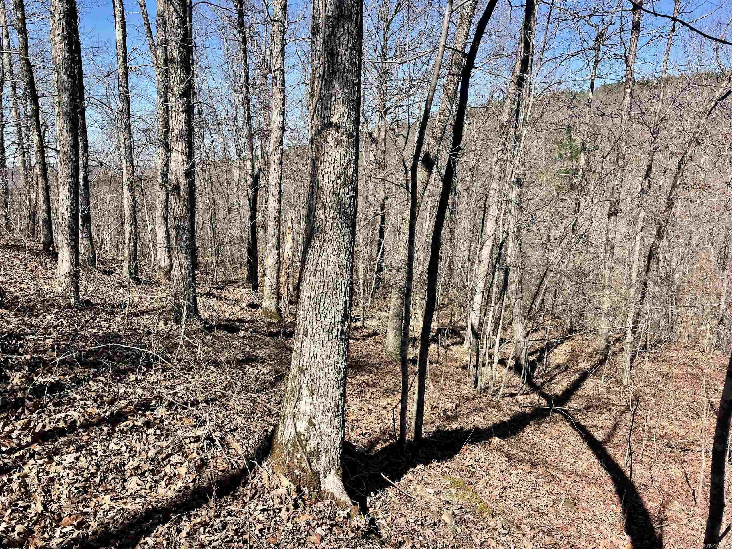 000 Brock Road  Jerusalem, AR