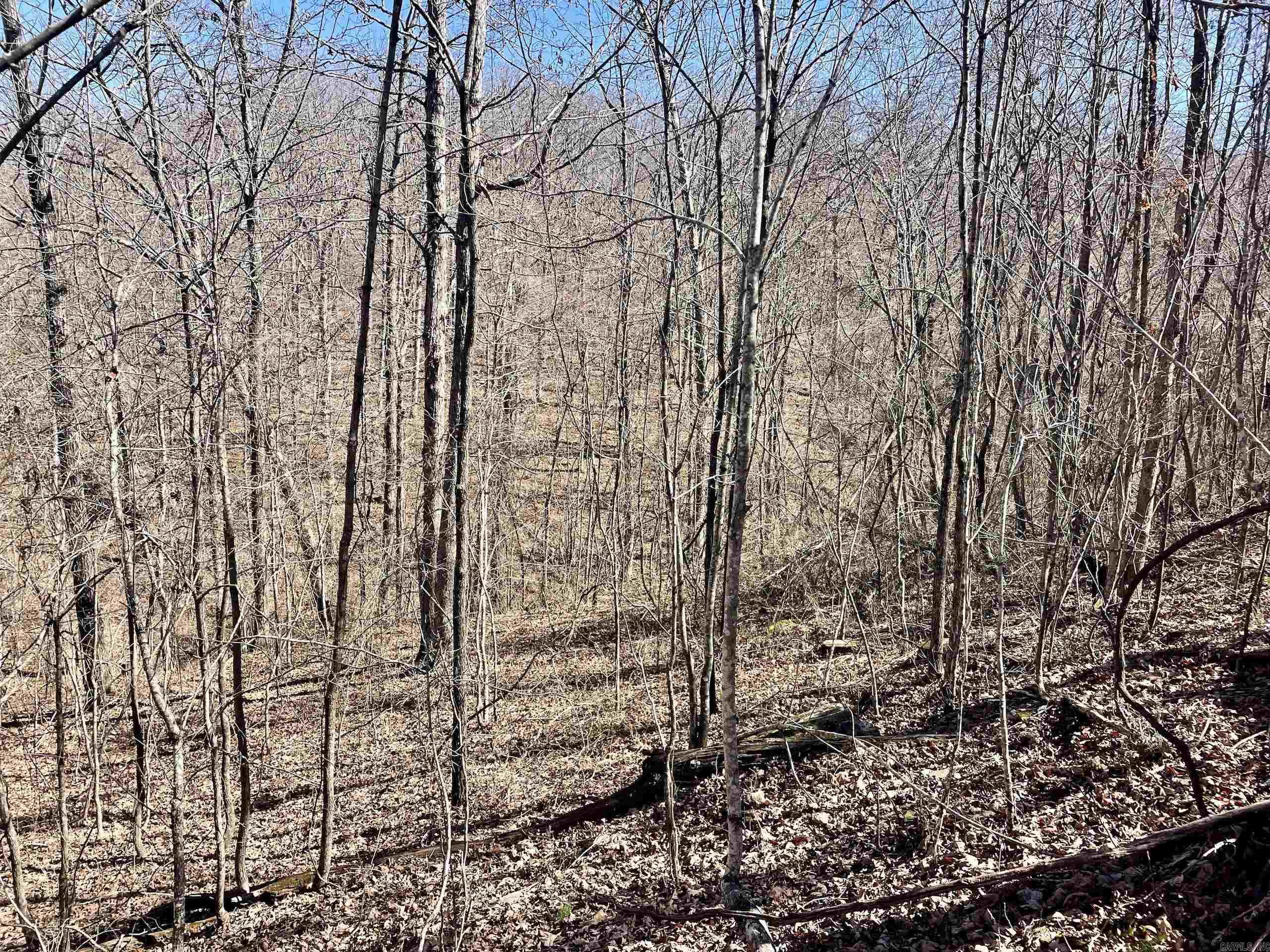 000 Brock Road  Jerusalem, AR