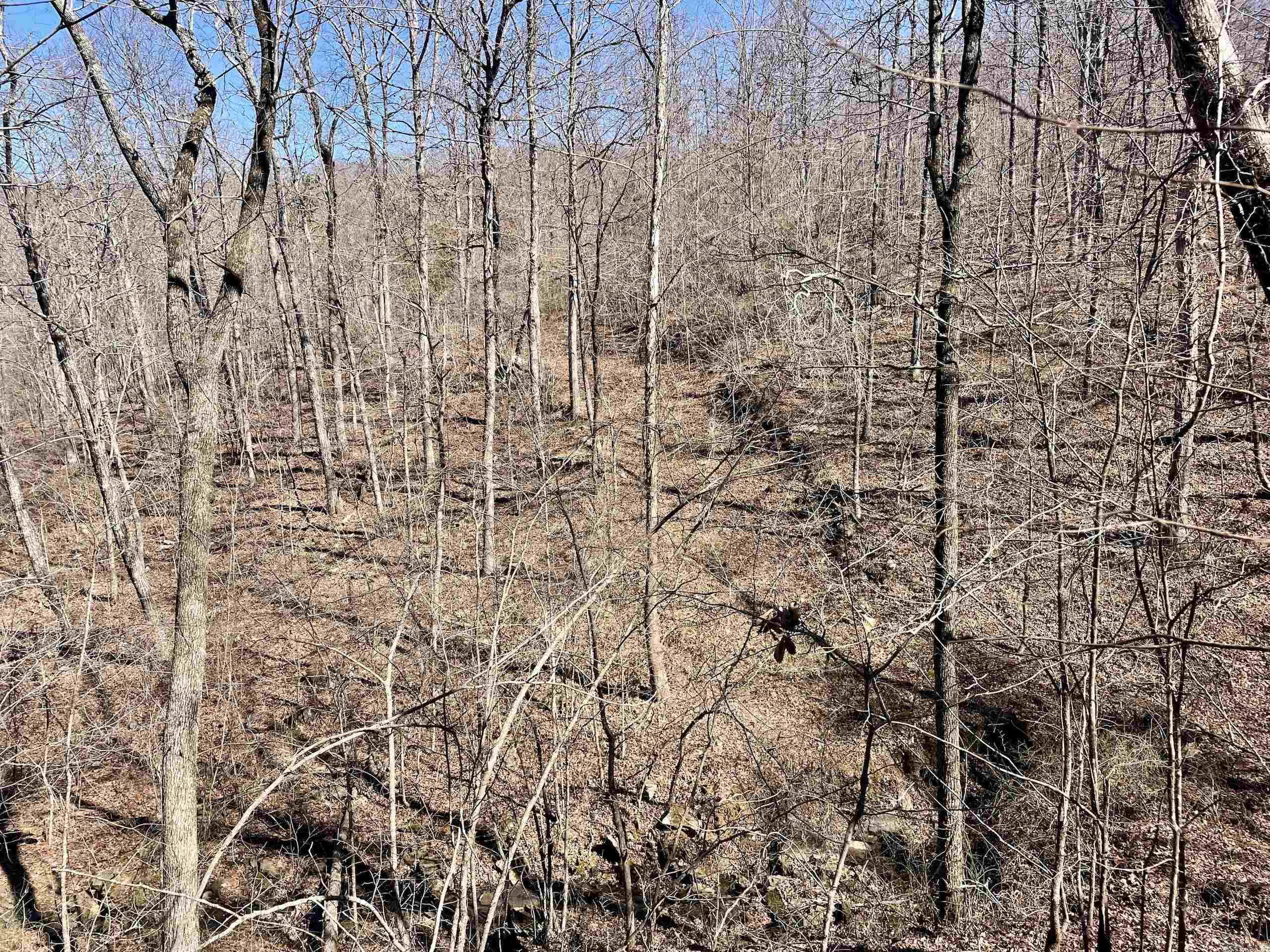 000 Brock Road  Jerusalem, AR