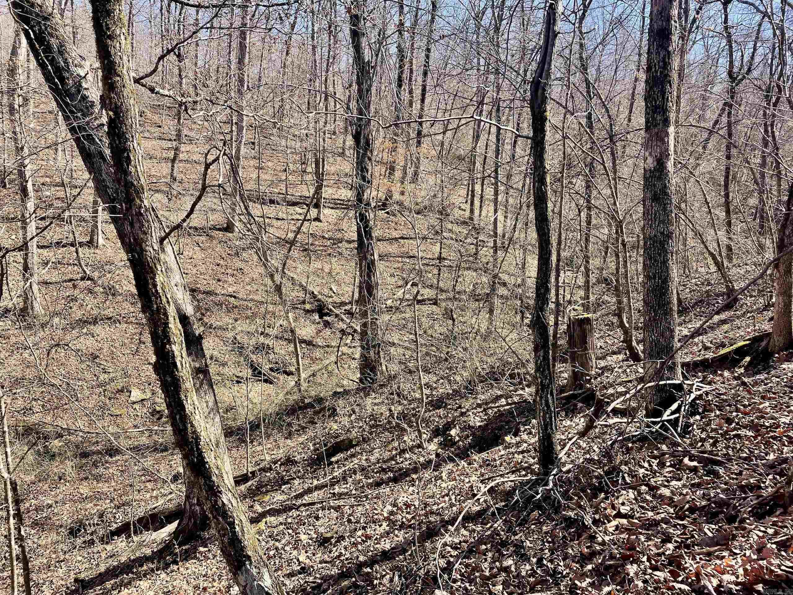 000 Brock Road  Jerusalem, AR