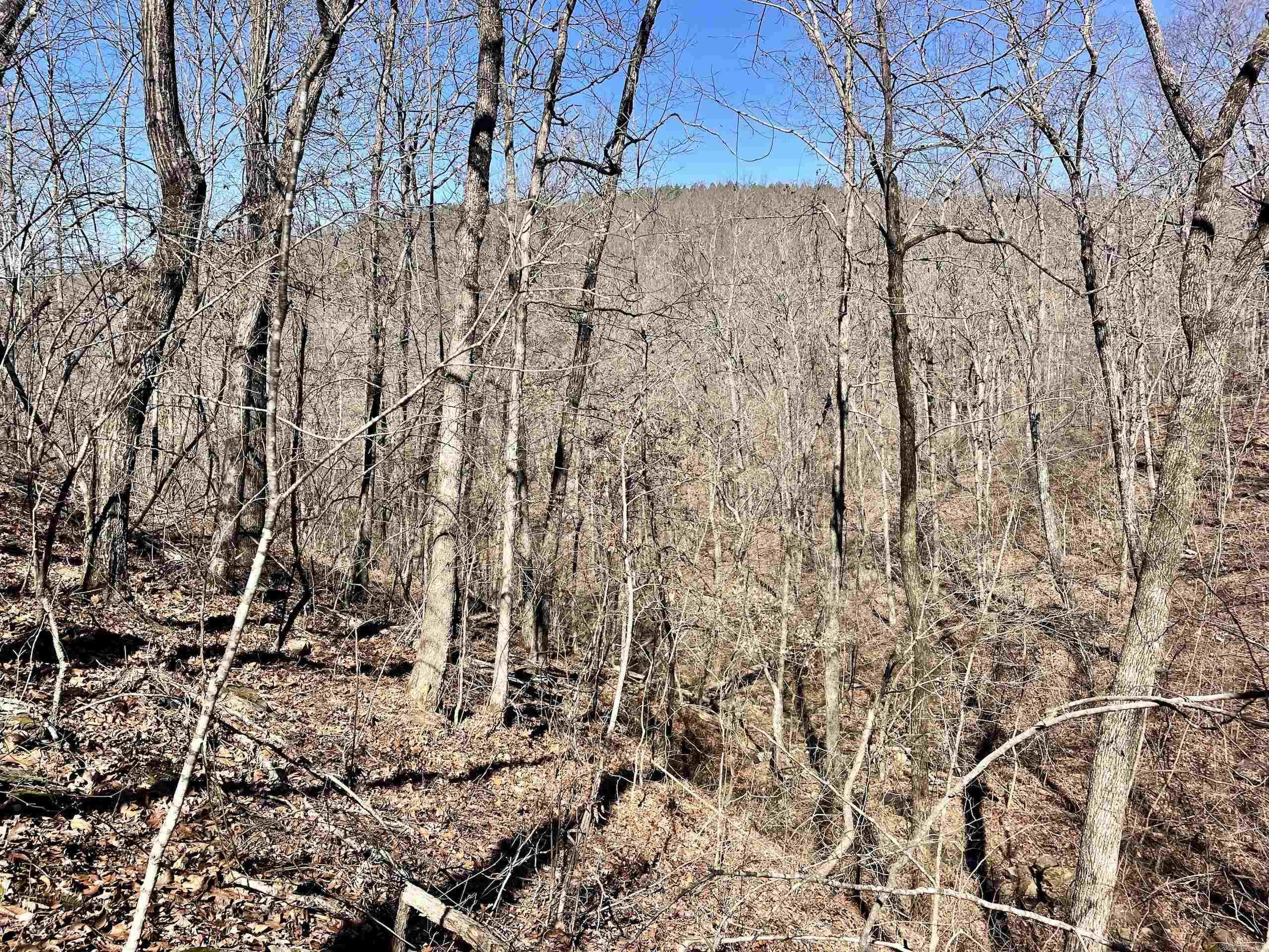 000 Brock Road  Jerusalem, AR