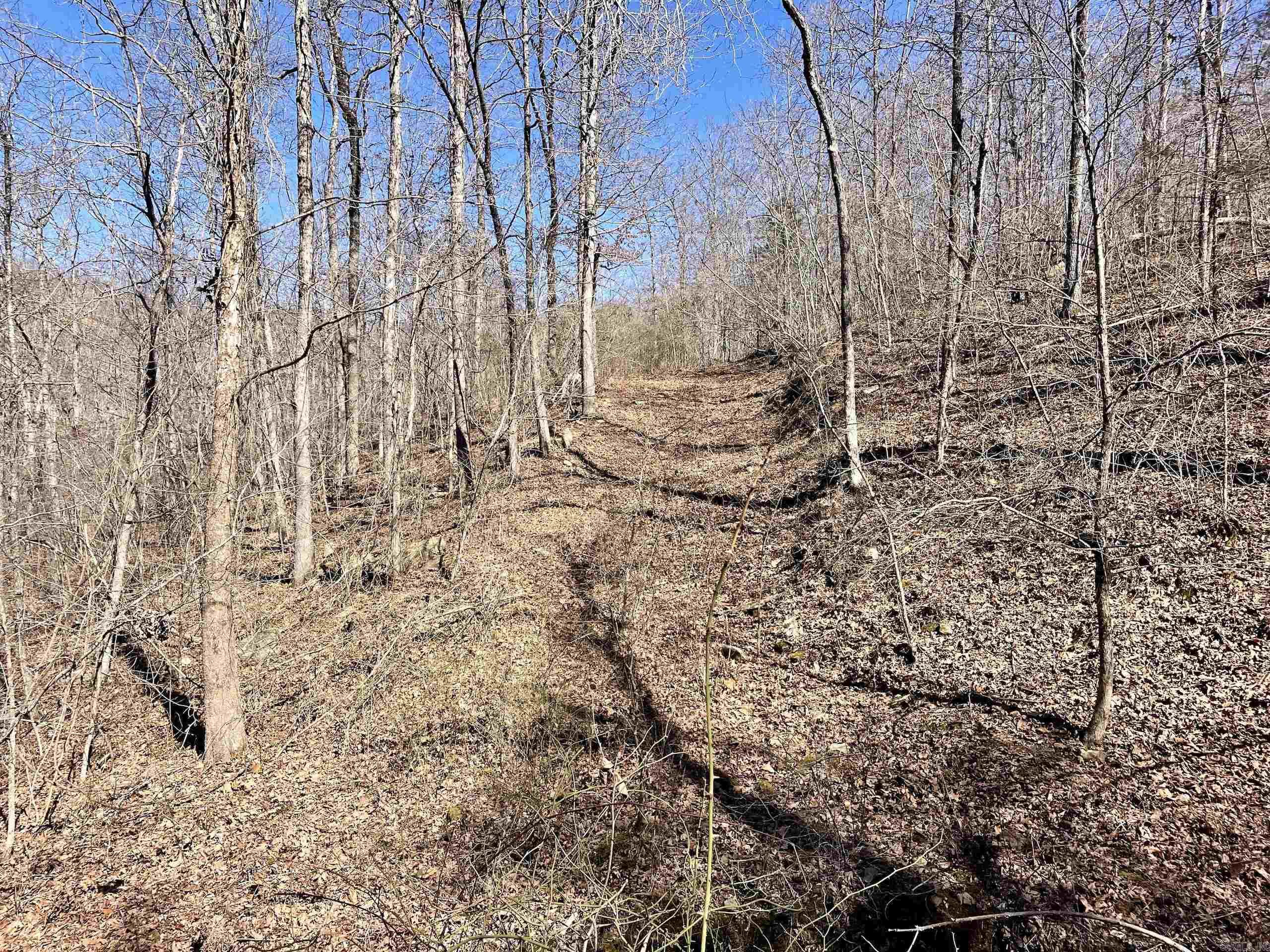 000 Brock Road  Jerusalem, AR