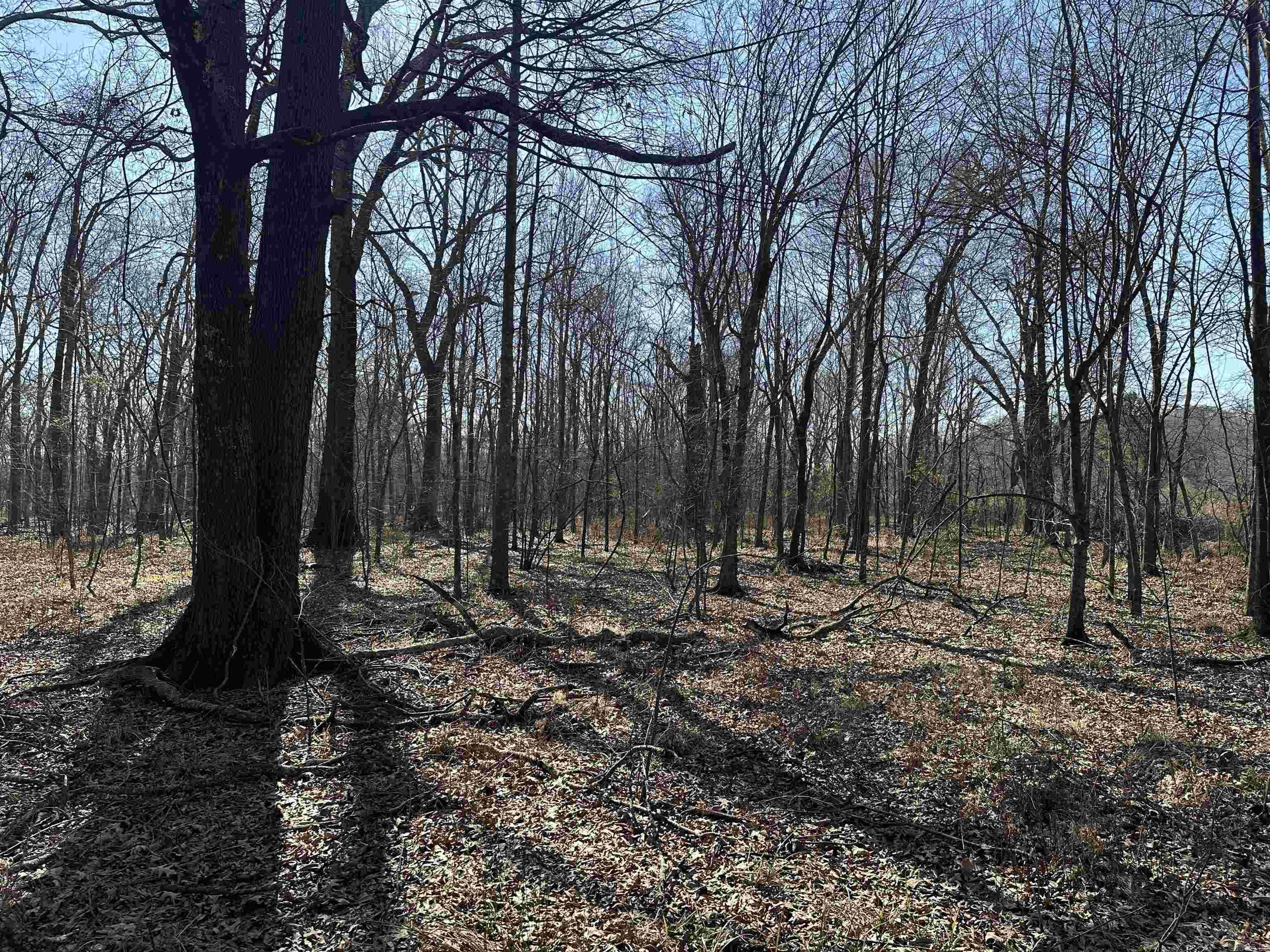 000 Holman Ln.  North Little Rock, AR